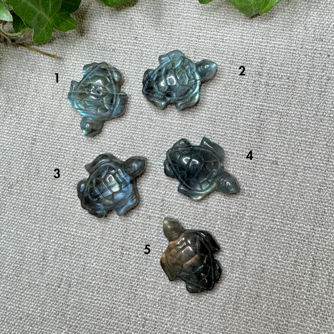 MINI TORTUES LABRADORITE- Madagascar - 3cm