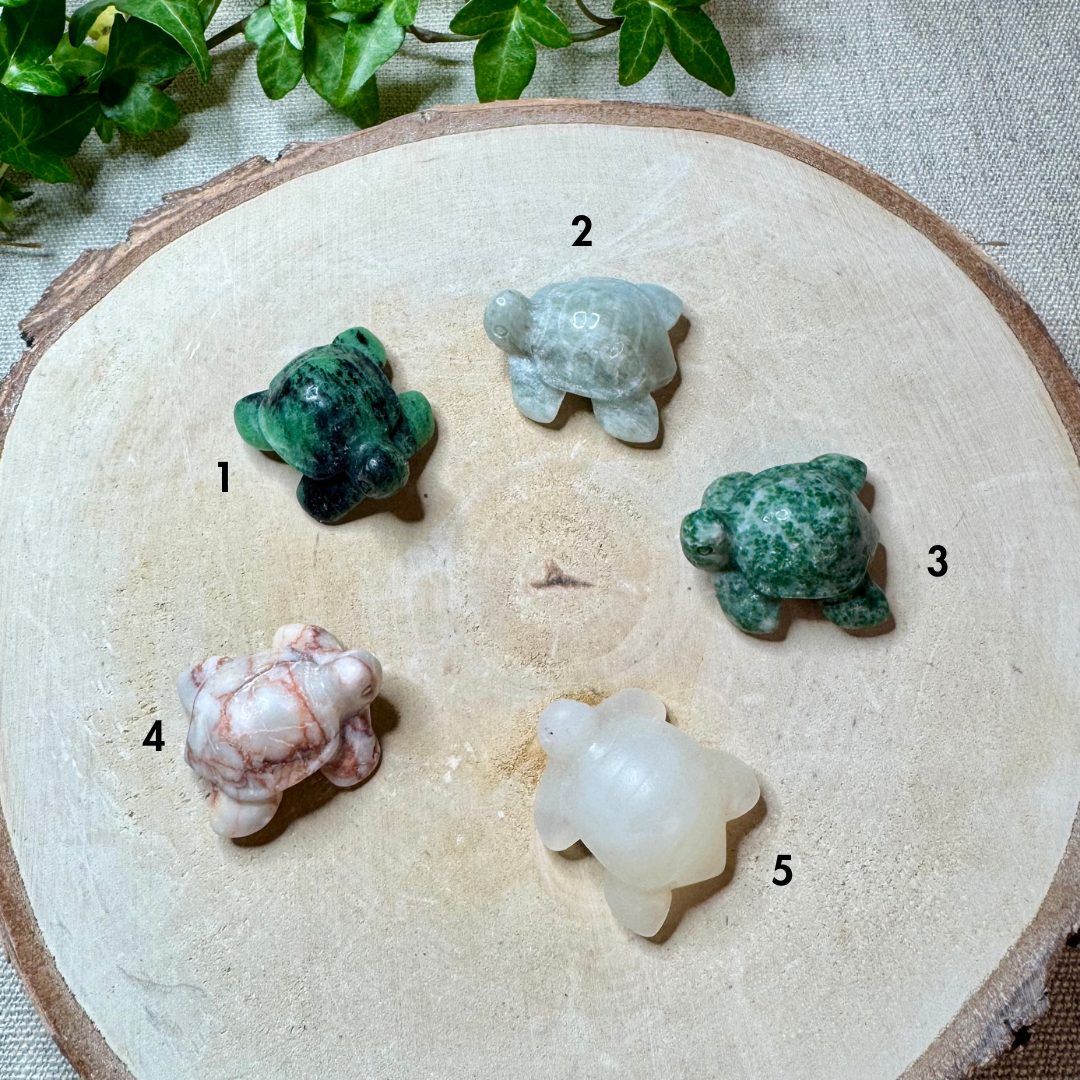 MINI TORTUES - Pierres diverses- 35mm