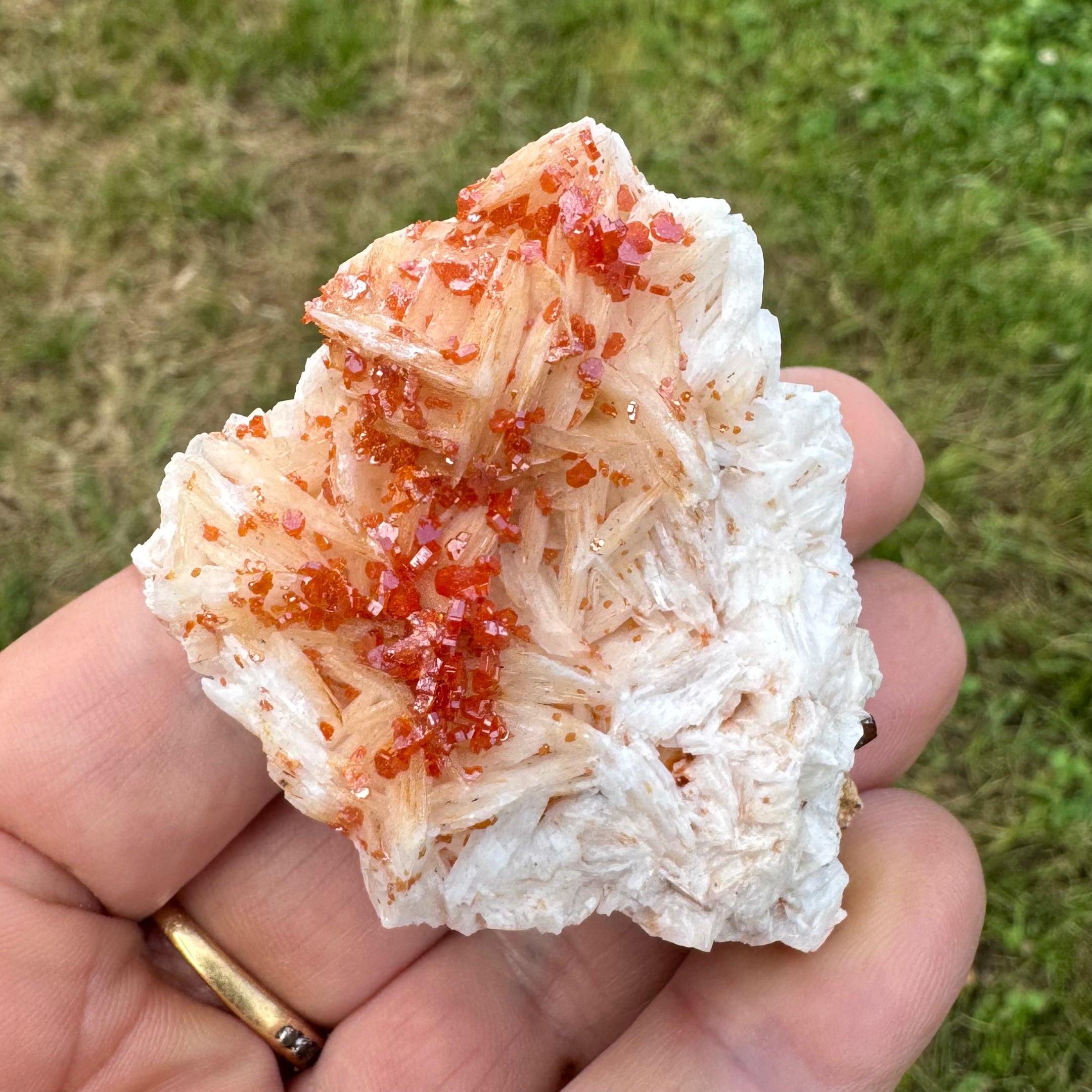 VANADINITE SUR BARYTINE - Maroc - Pierre brute