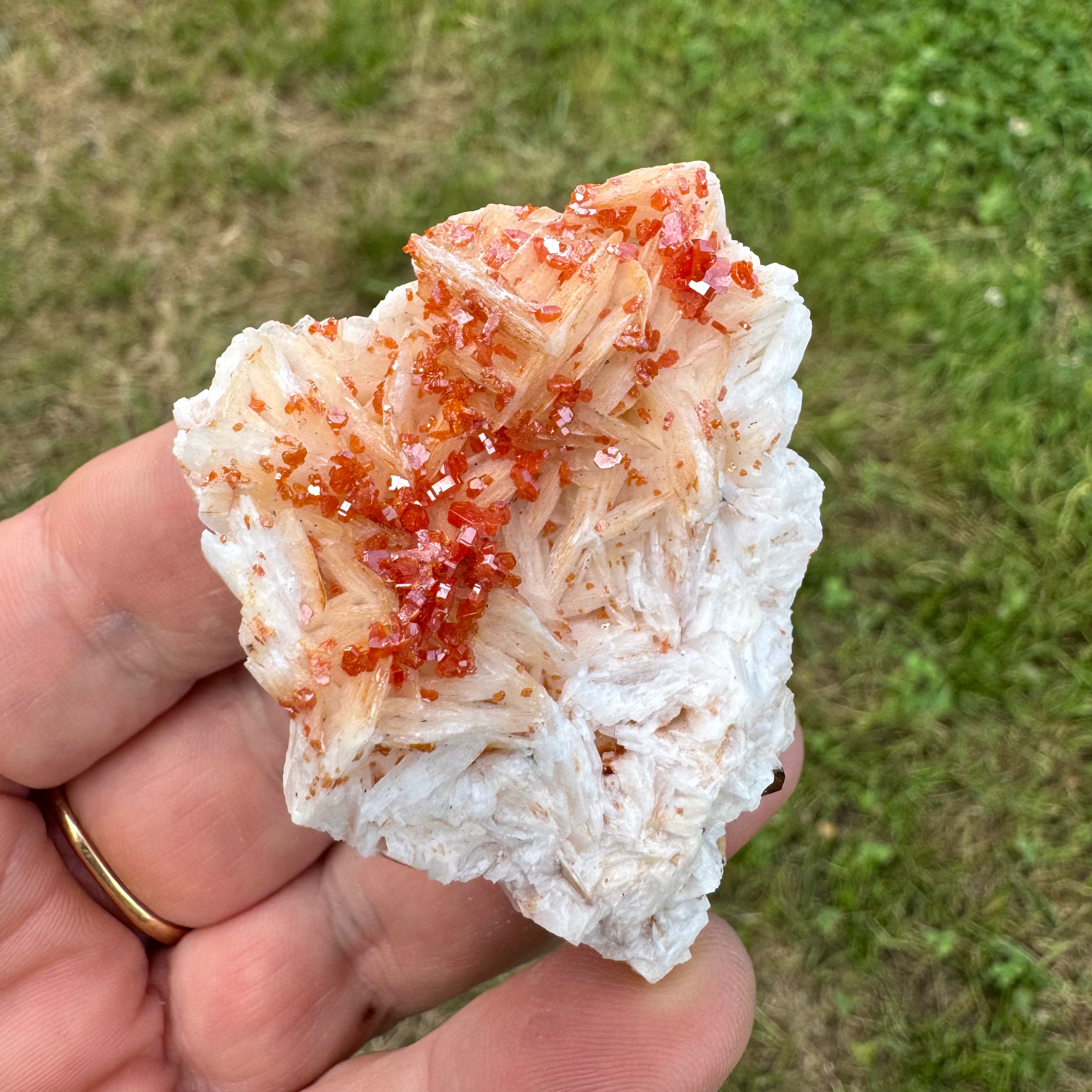 VANADINITE SUR BARYTINE - Maroc - Pierre brute