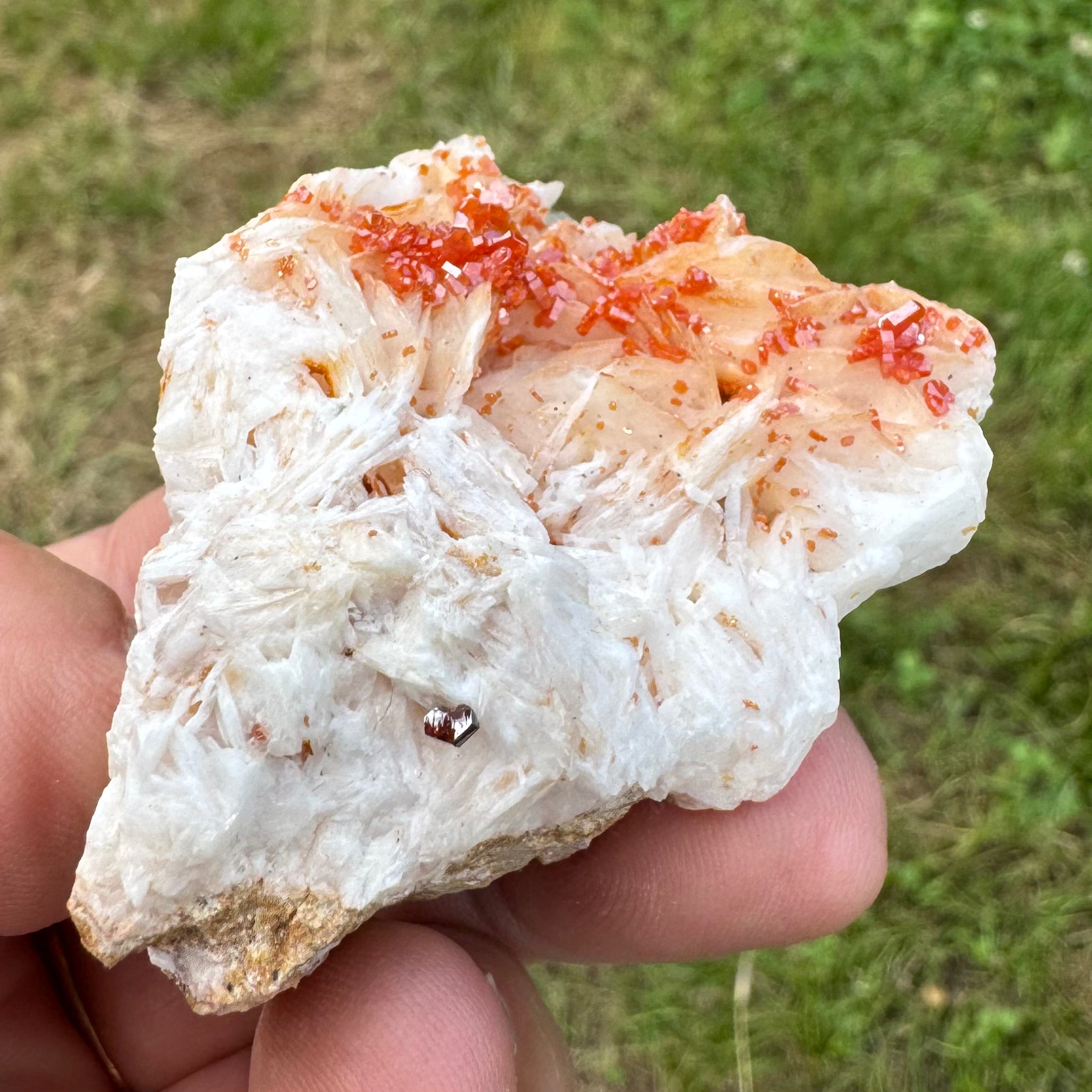 VANADINITE SUR BARYTINE - Maroc - Pierre brute