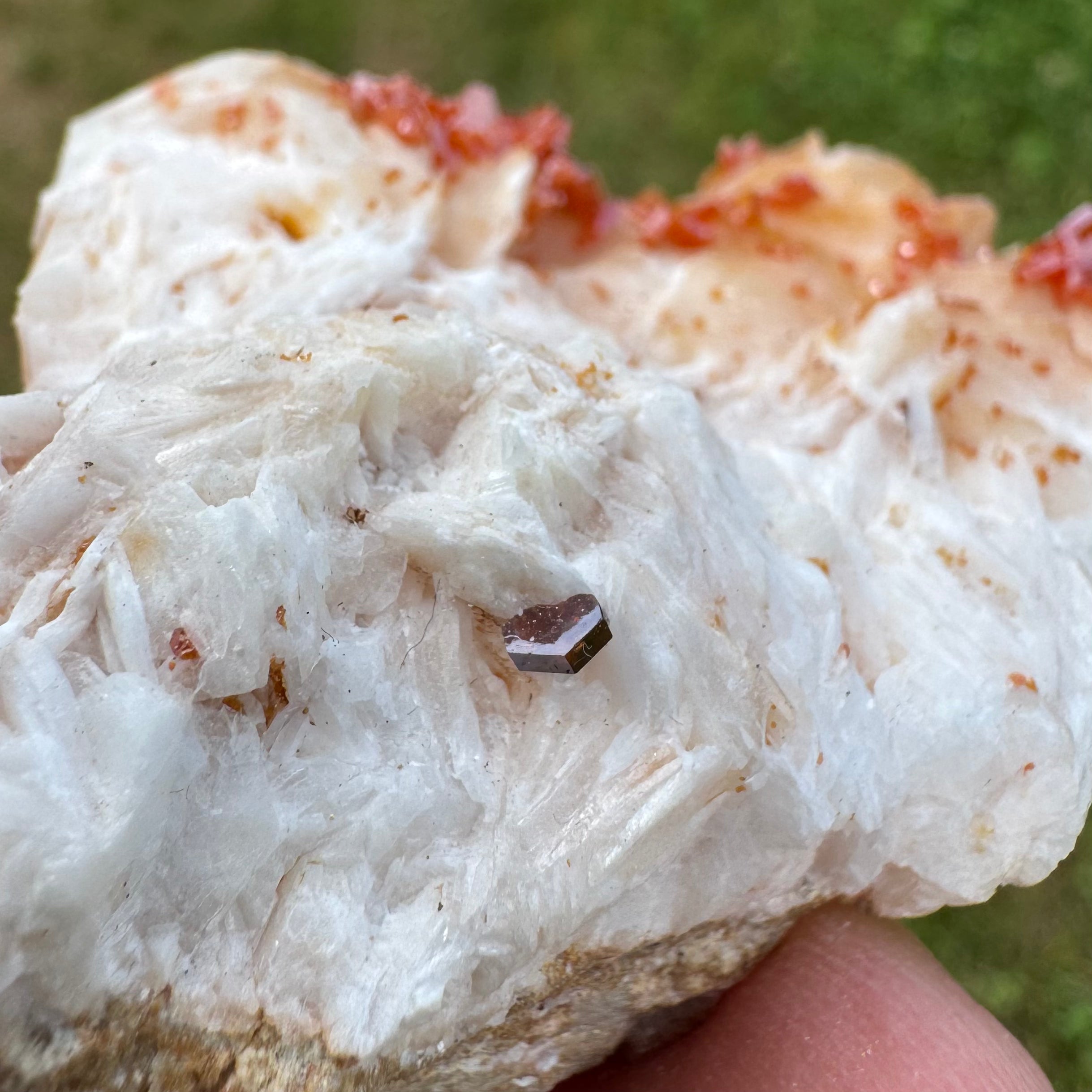 VANADINITE SUR BARYTINE - Maroc - Pierre brute