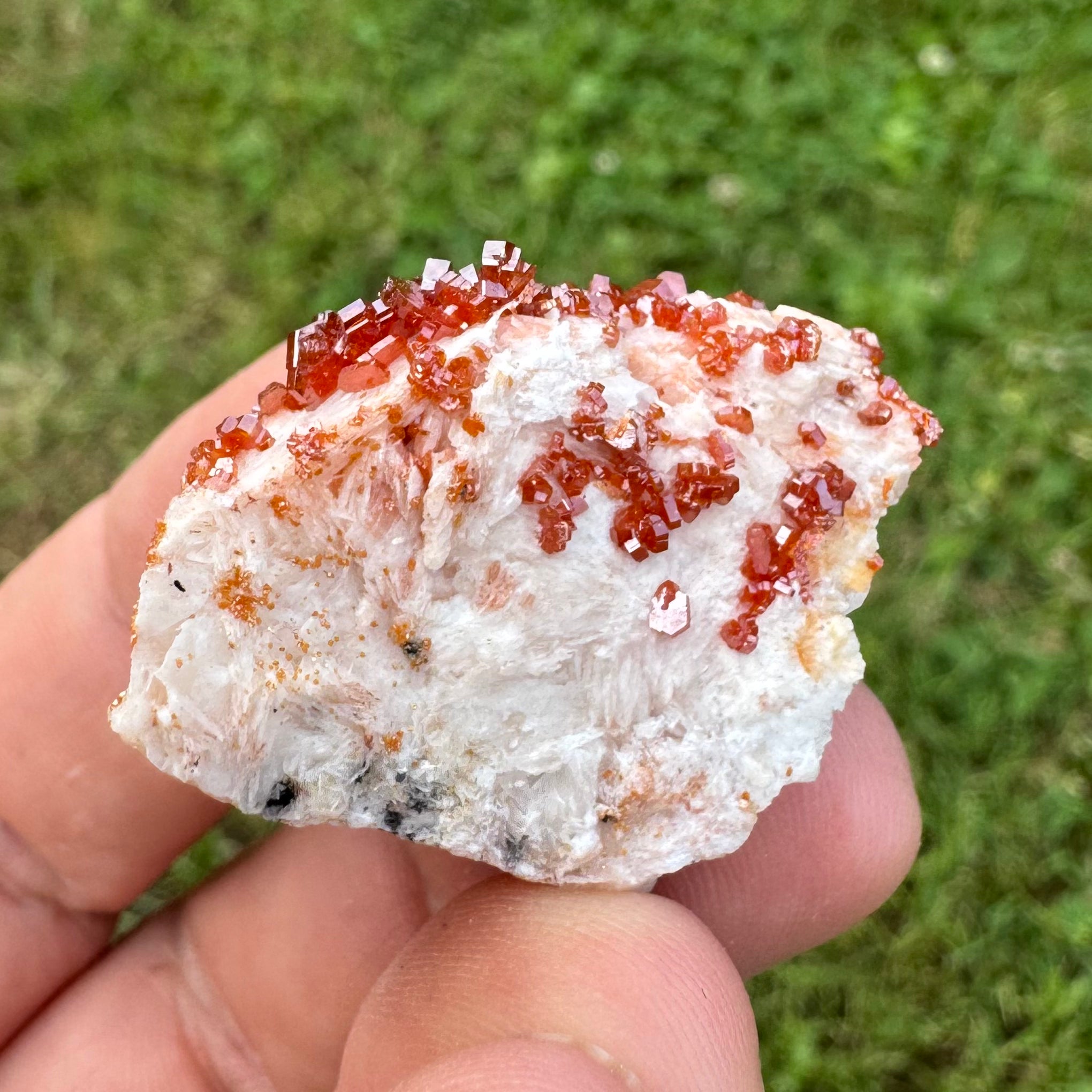 VANADINITE SUR BARYTINE - Maroc - Pierre brute