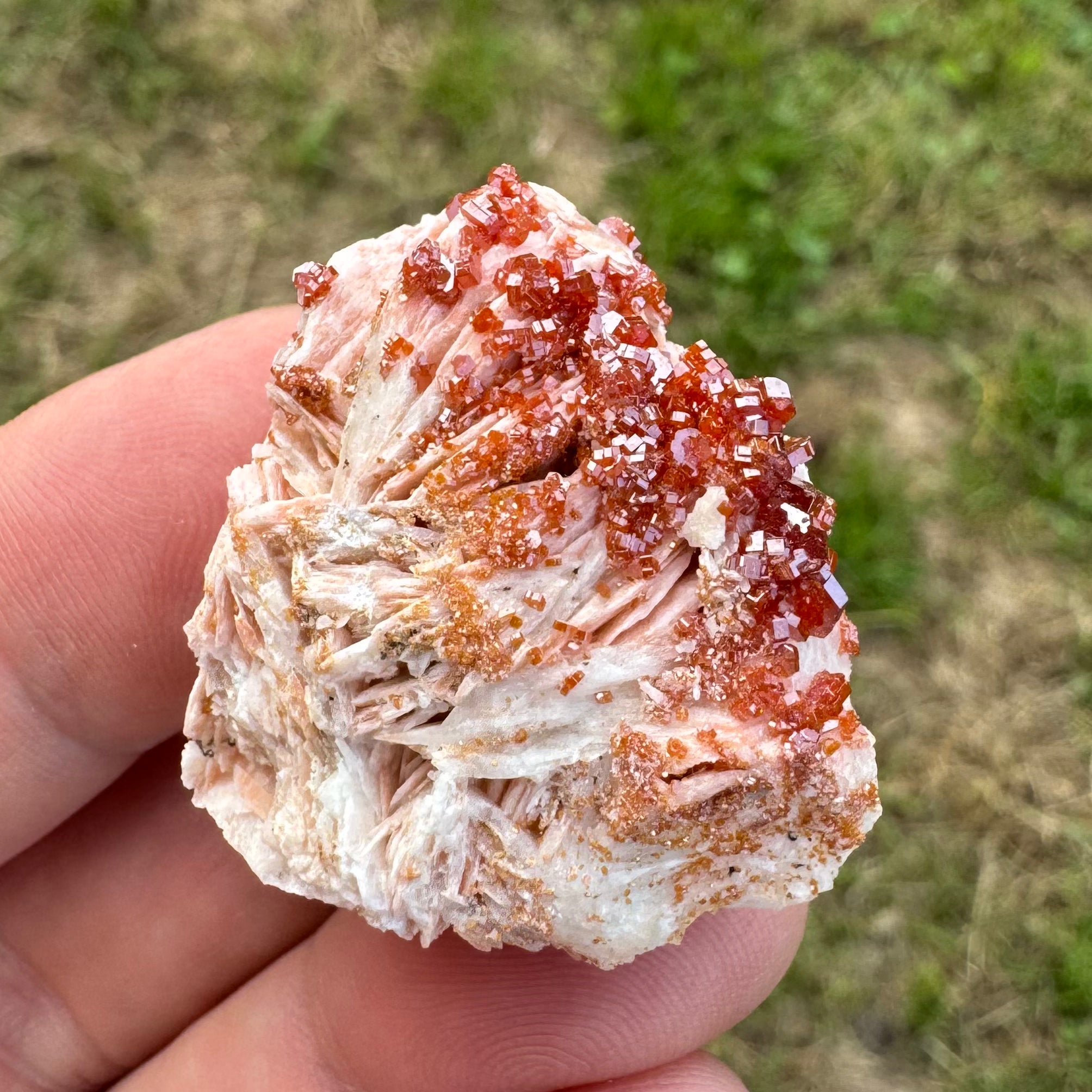 VANADINITE SUR BARYTINE - Maroc - Pierre brute