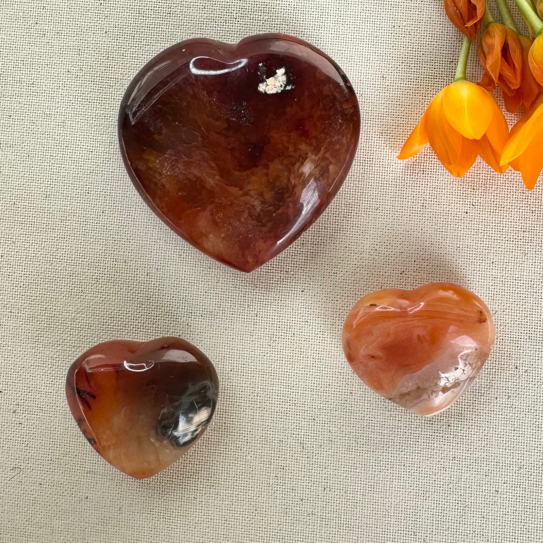 CORNALINE - Madagascar - Coeurs