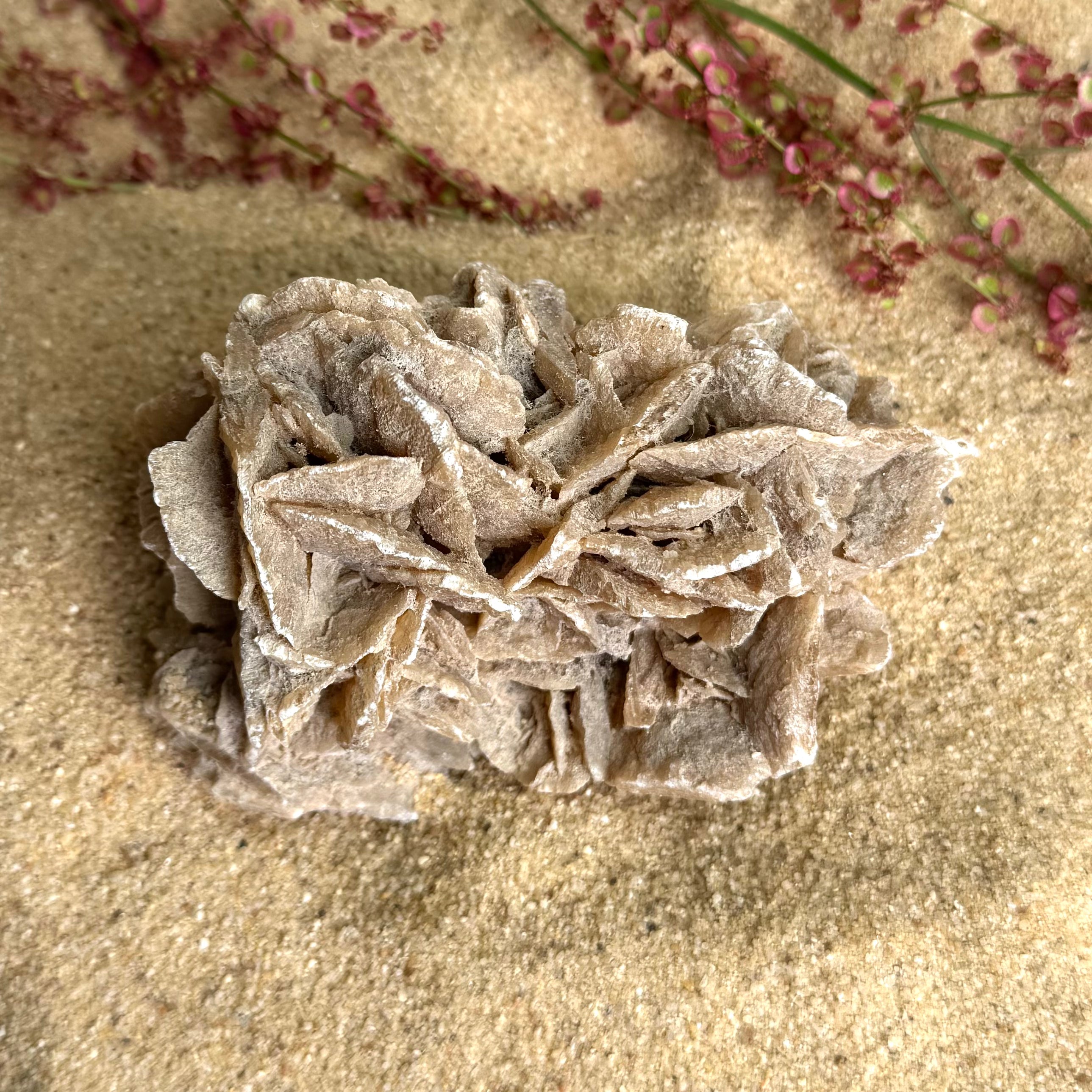 ROSE DES SABLES - Maroc