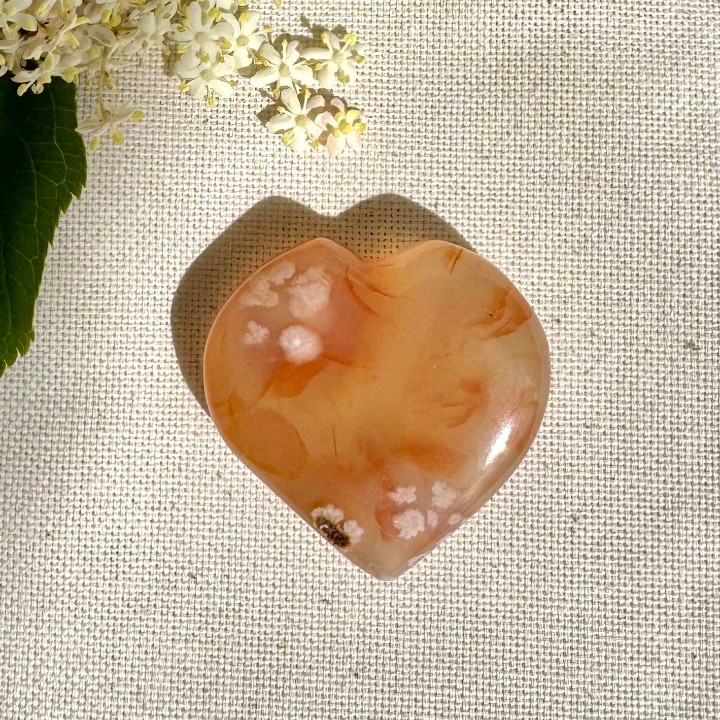 AGATE FLEUR - Madagascar - Coeurs