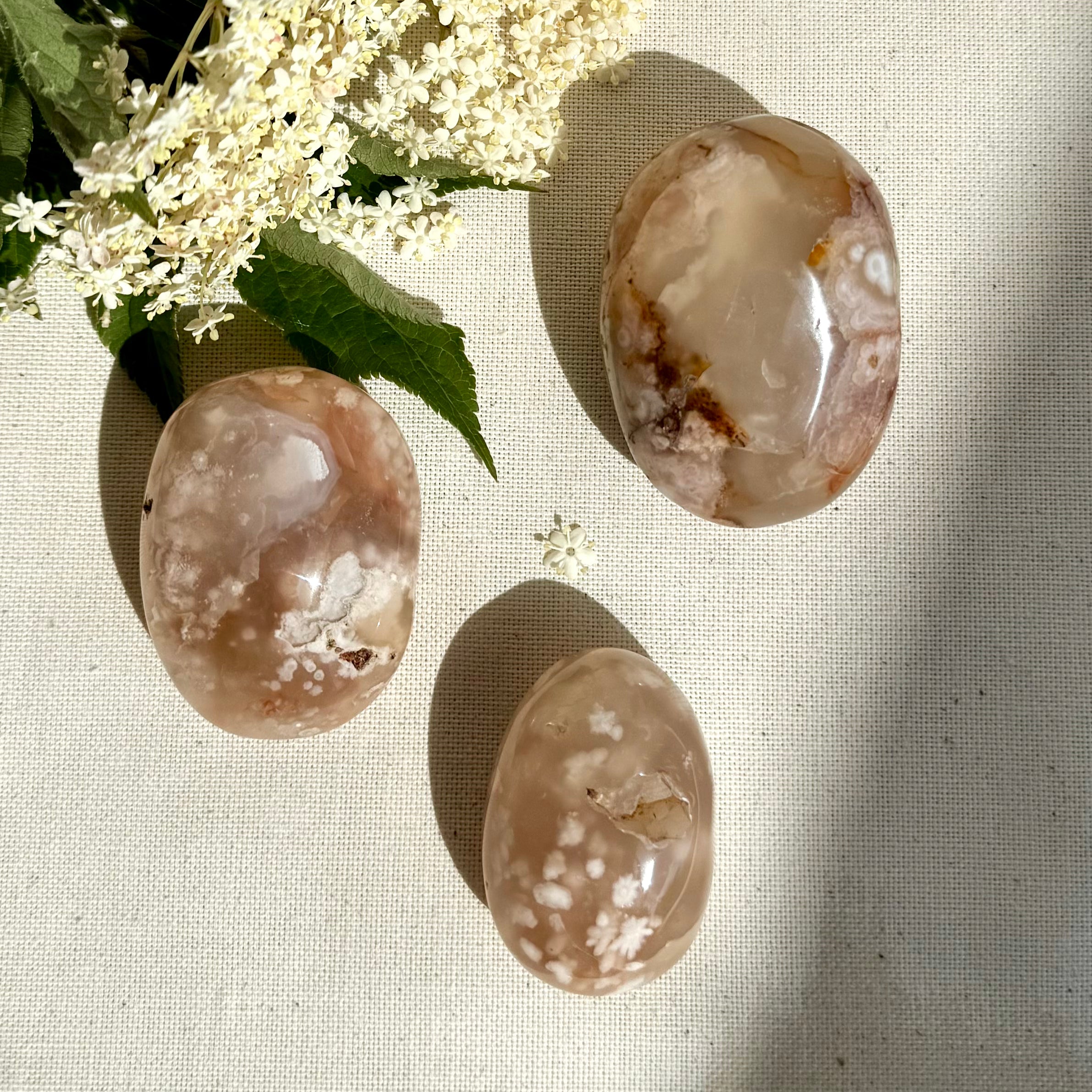 AGATE FLEUR - Madagascar - Galets