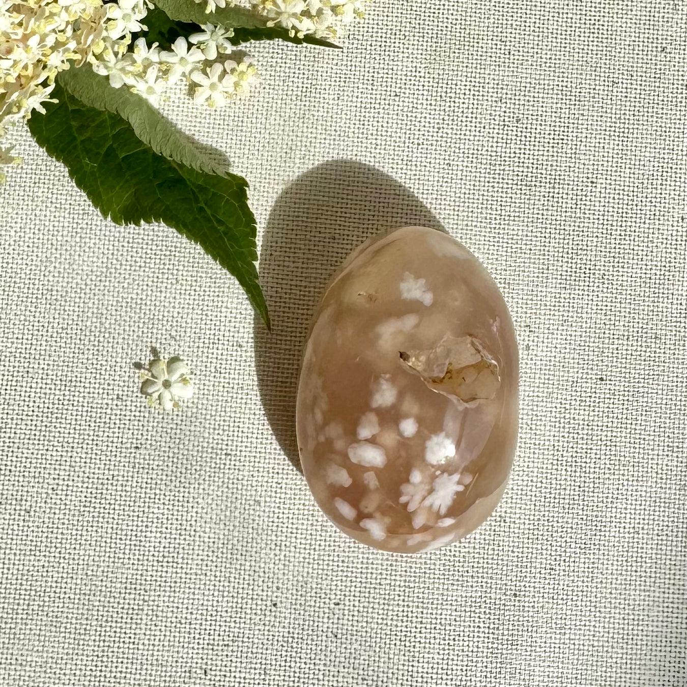 AGATE FLEUR - Madagascar - Galets