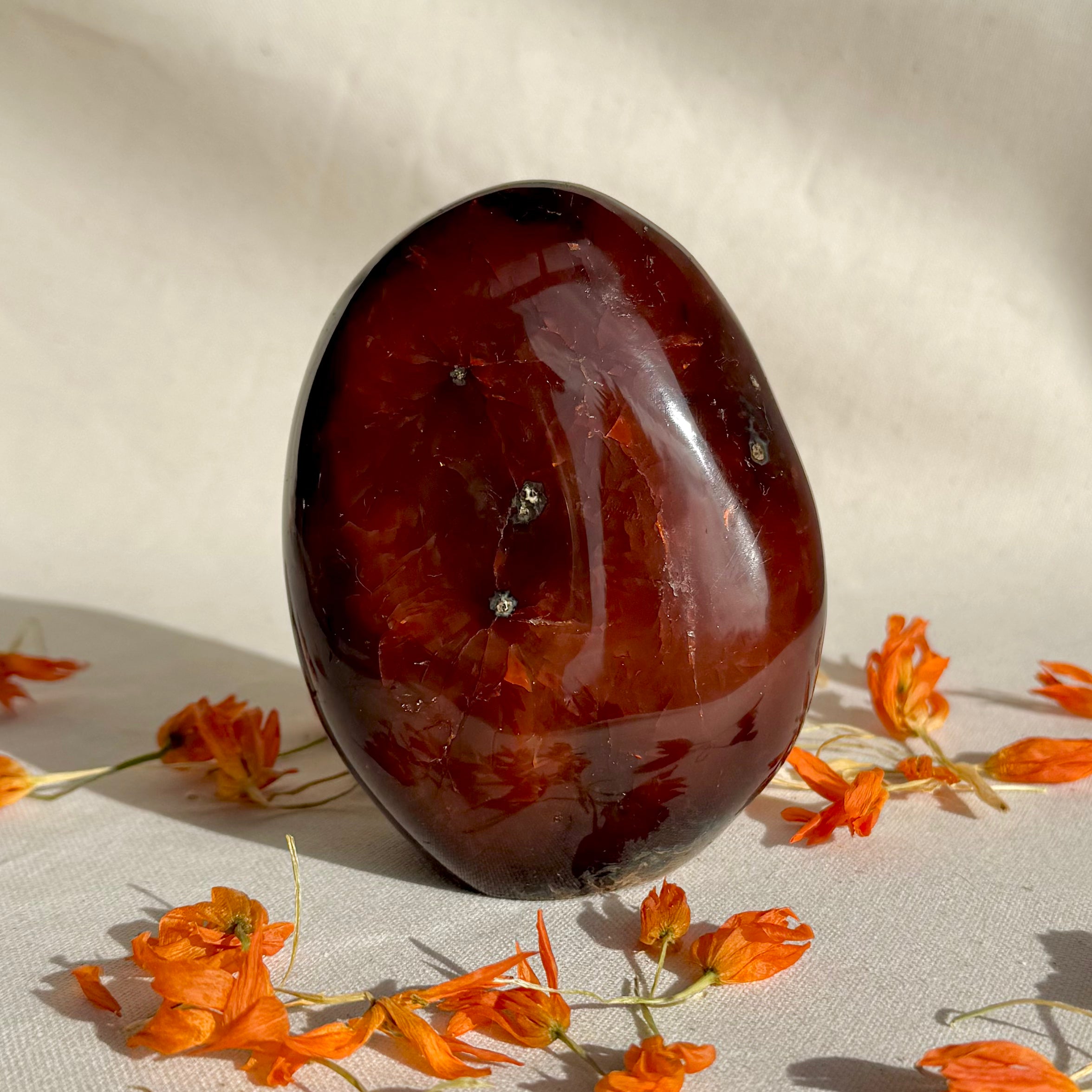 CORNALINE - Madagascar - Forme libre