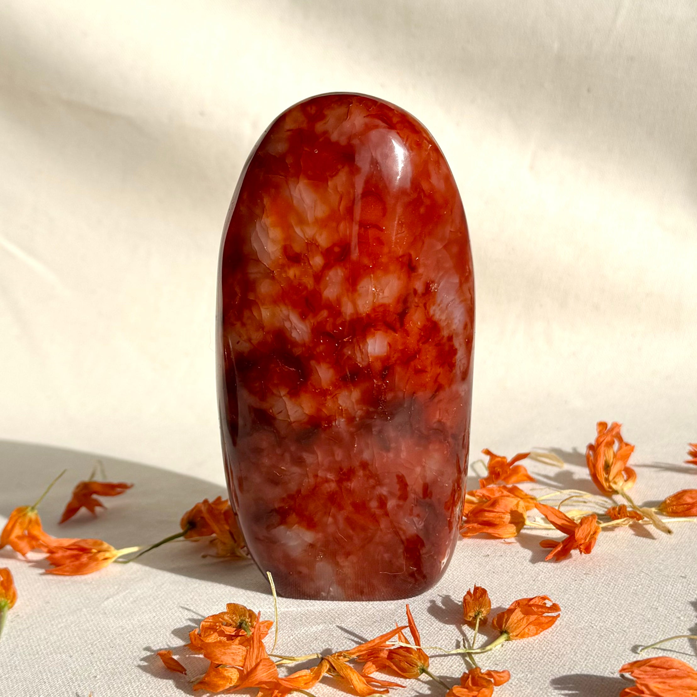 CORNALINE - Madagascar - Forme libre