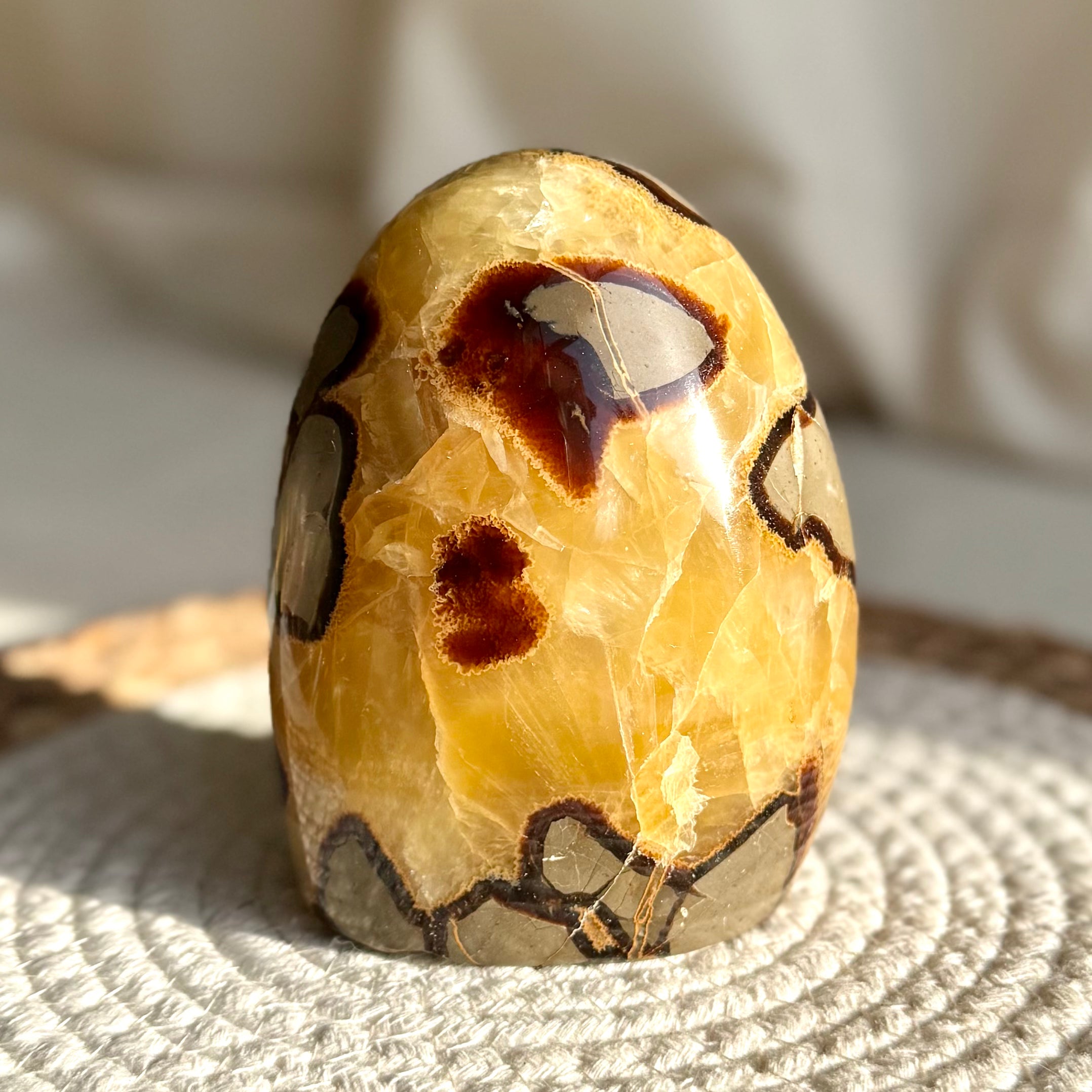 SEPTARIA - AA - Madagascar - Forme libre