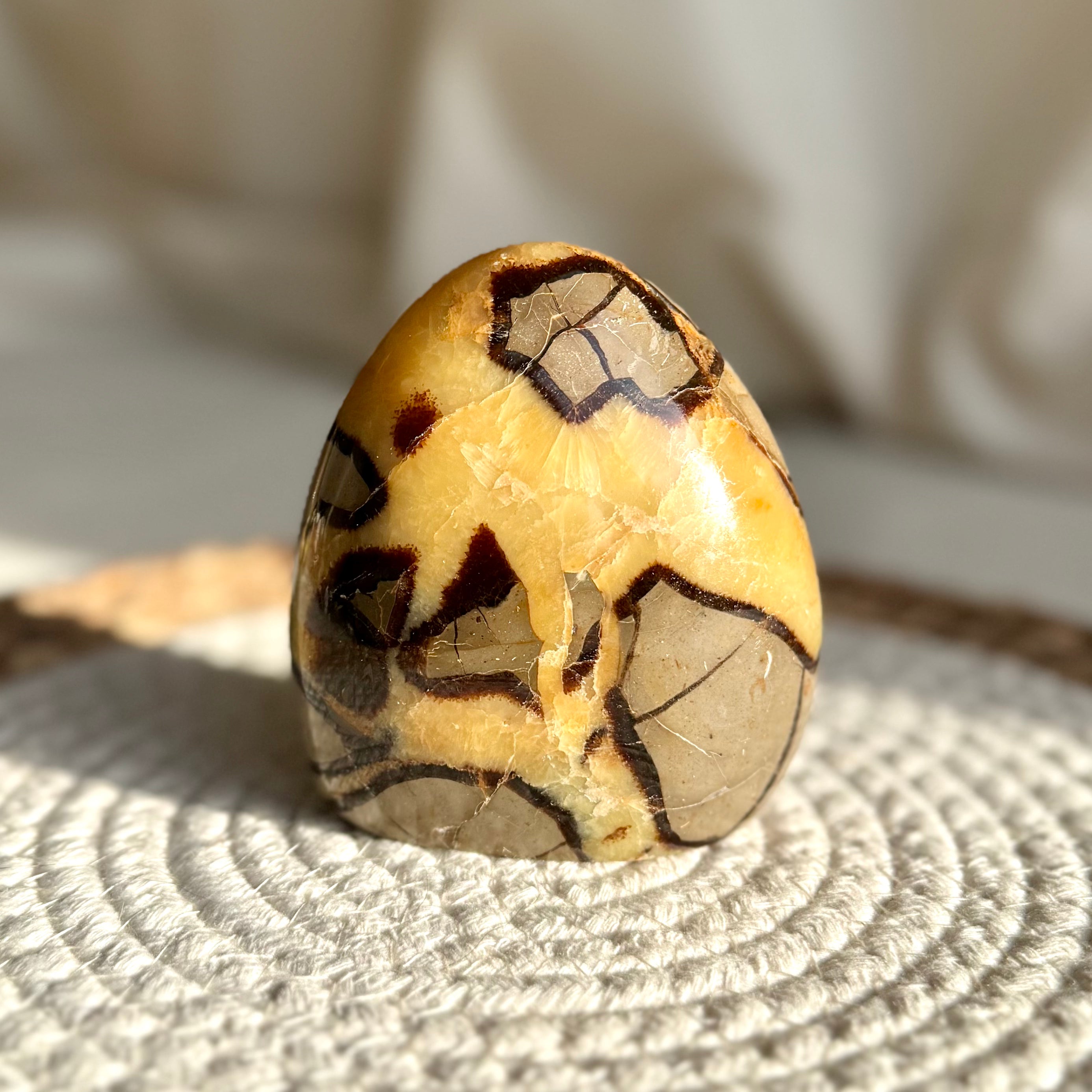 SEPTARIA - AA - Madagascar - Forme libre