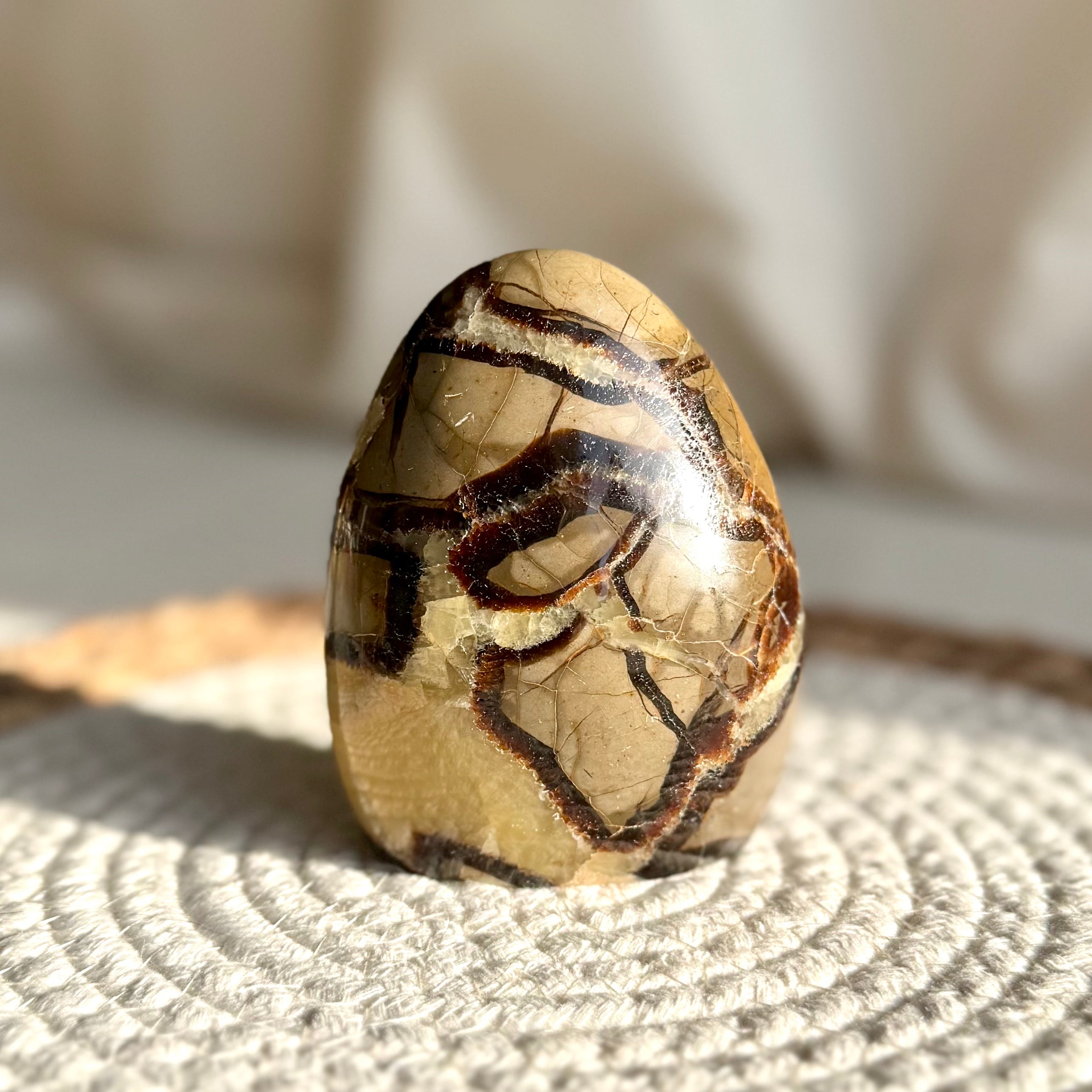 SEPTARIA - AA - Madagascar - Forme libre