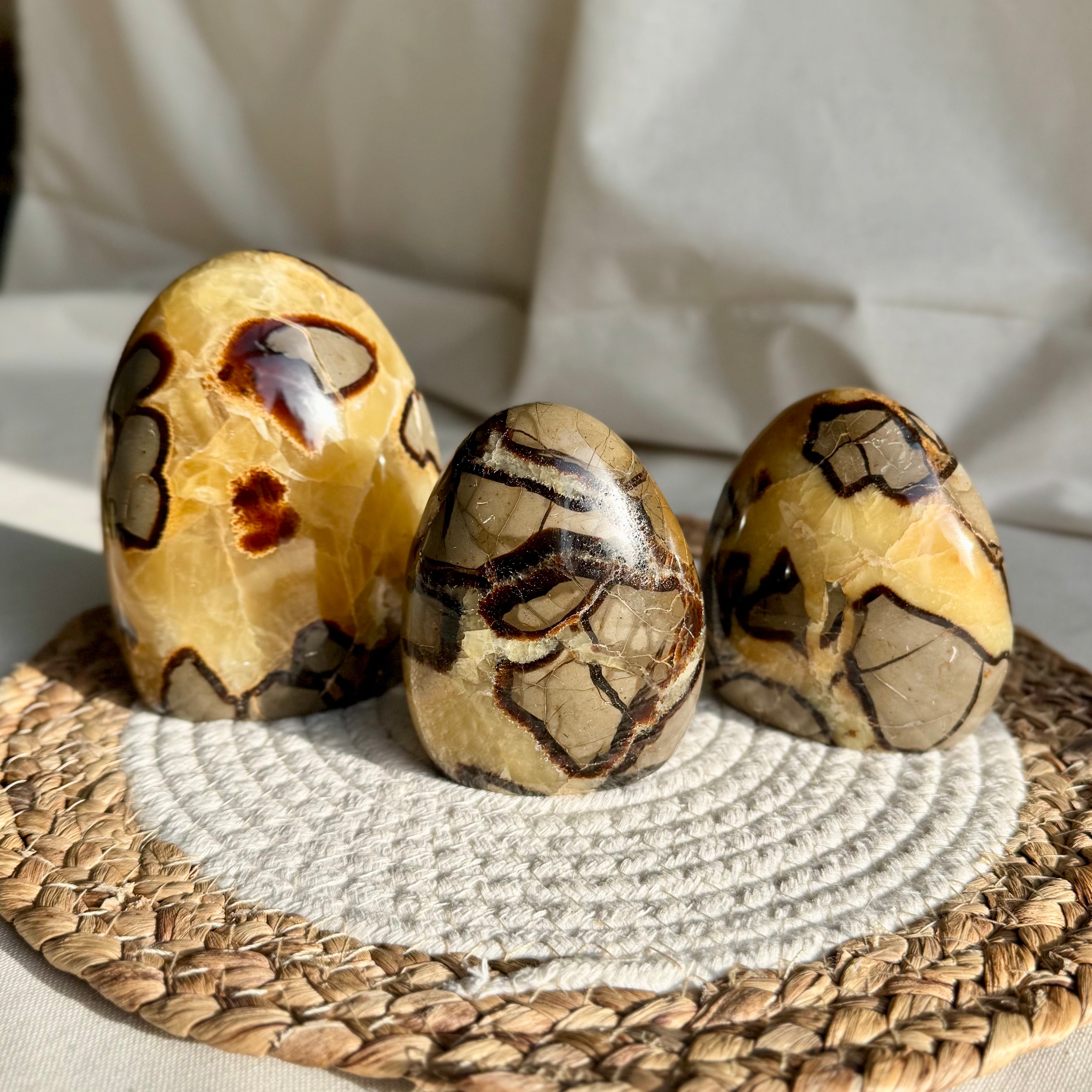 SEPTARIA - AA - Madagascar - Forme libre