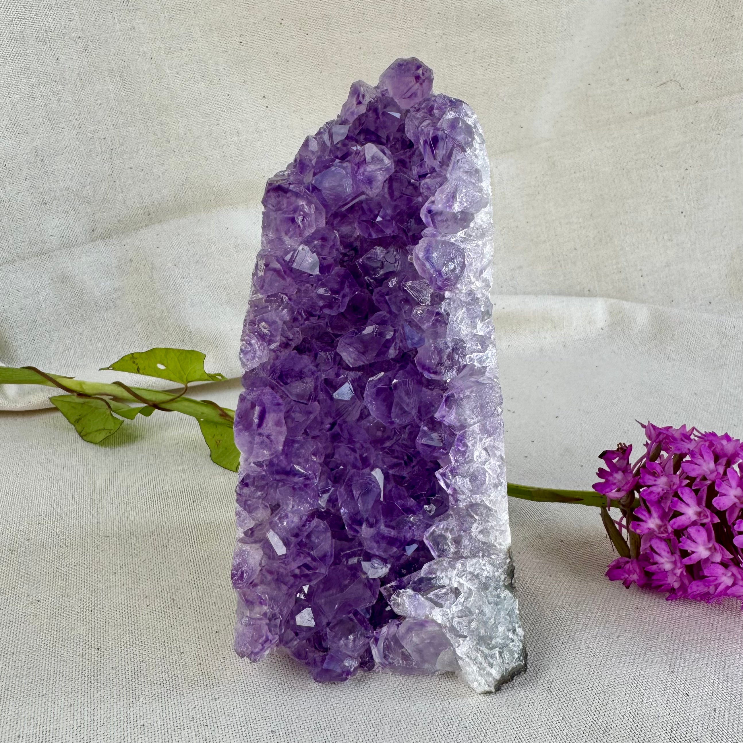 AMETHYSTE -  AA+ - Uruguay