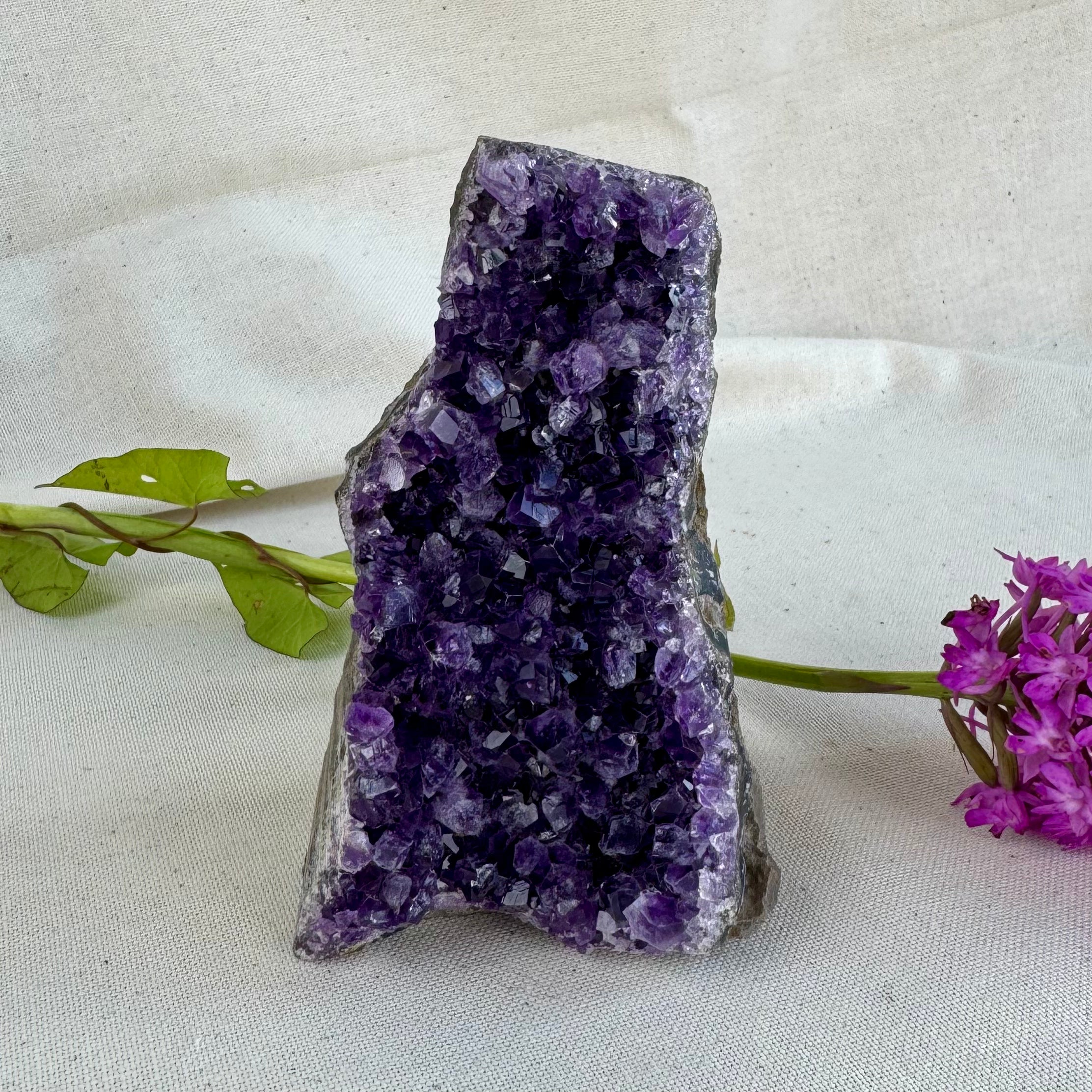 AMETHYSTE -  AA+ - Uruguay