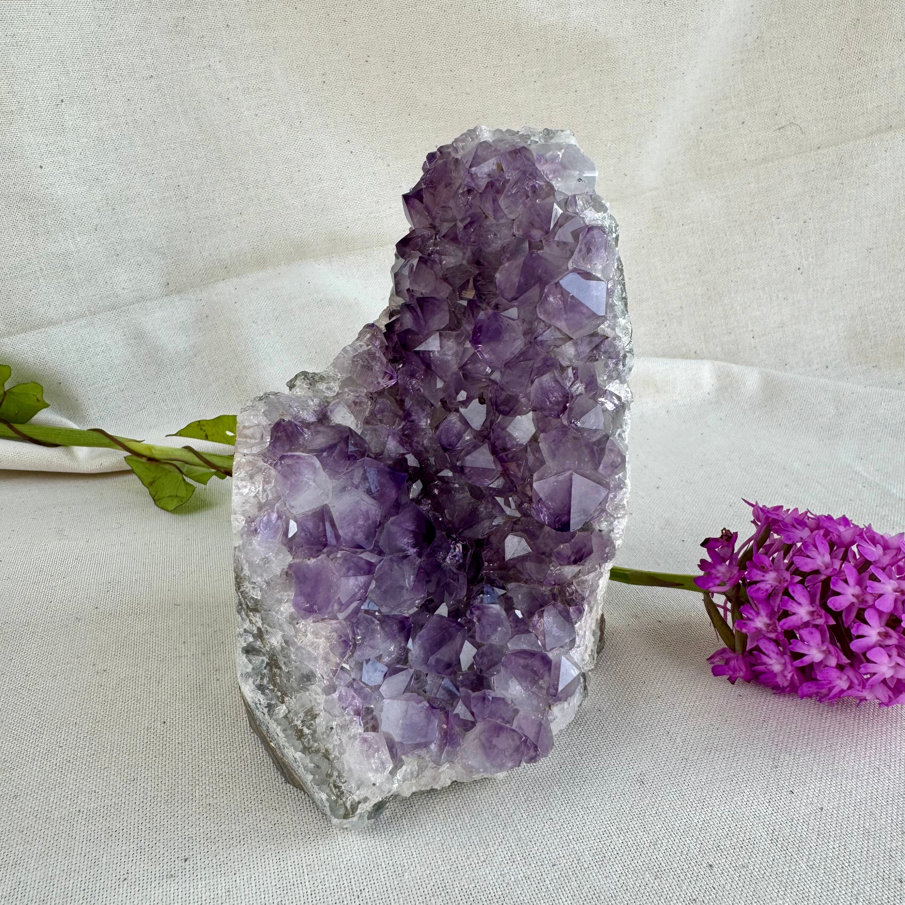 AMETHYSTE -  AA+ - Uruguay