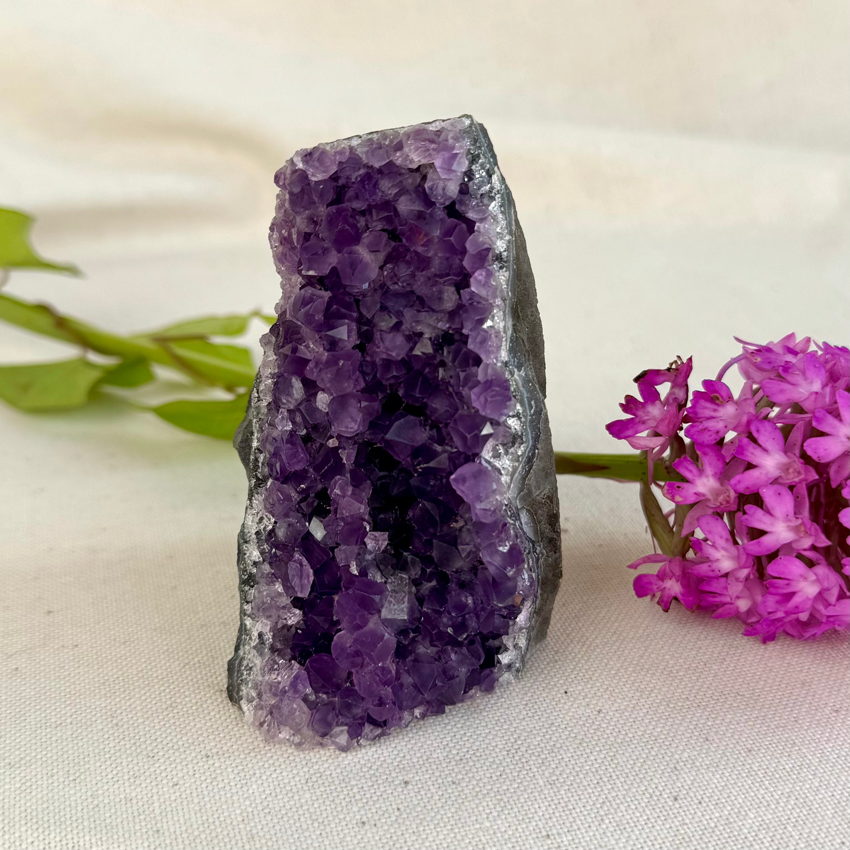 AMETHYSTE - AA+ -  Uruguay