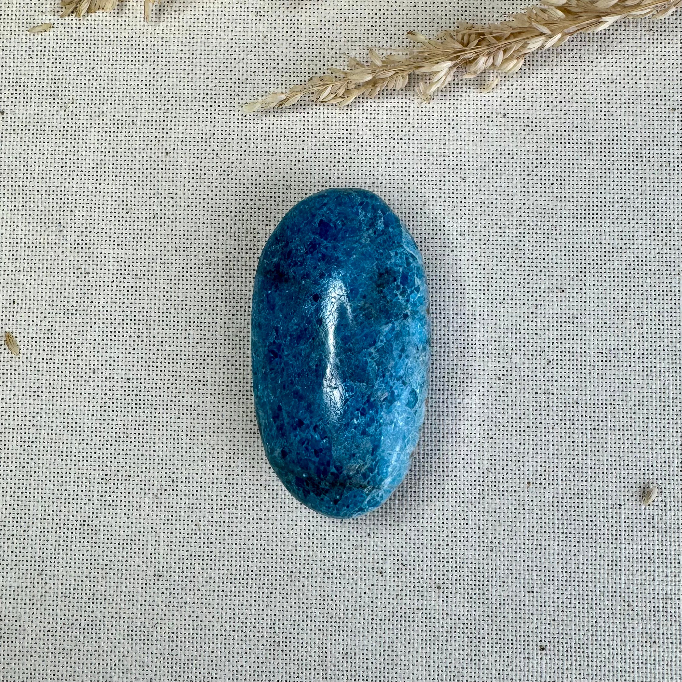 APATITE BLEUE - Madagascar - Galets