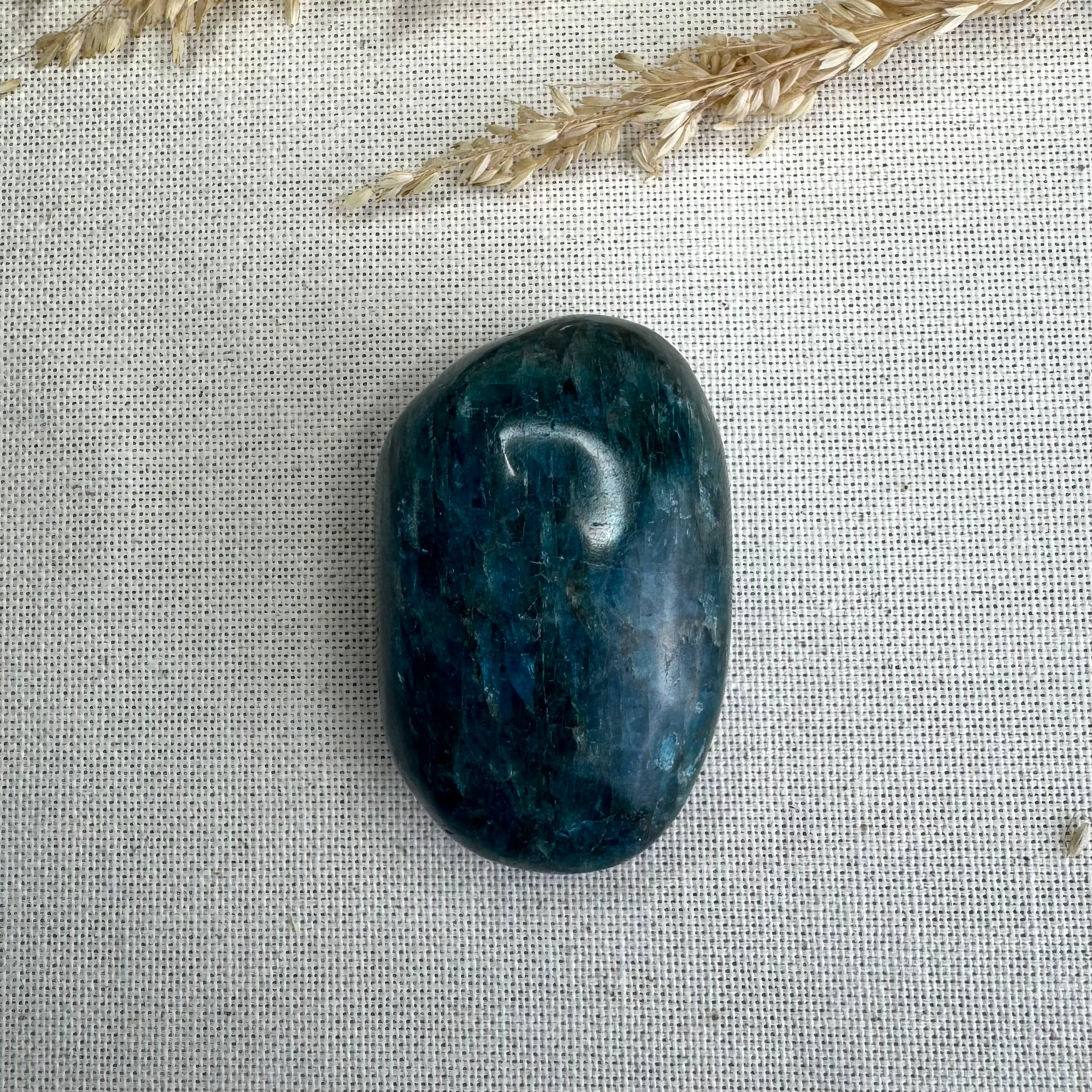 APATITE BLEUE - Madagascar - Galets