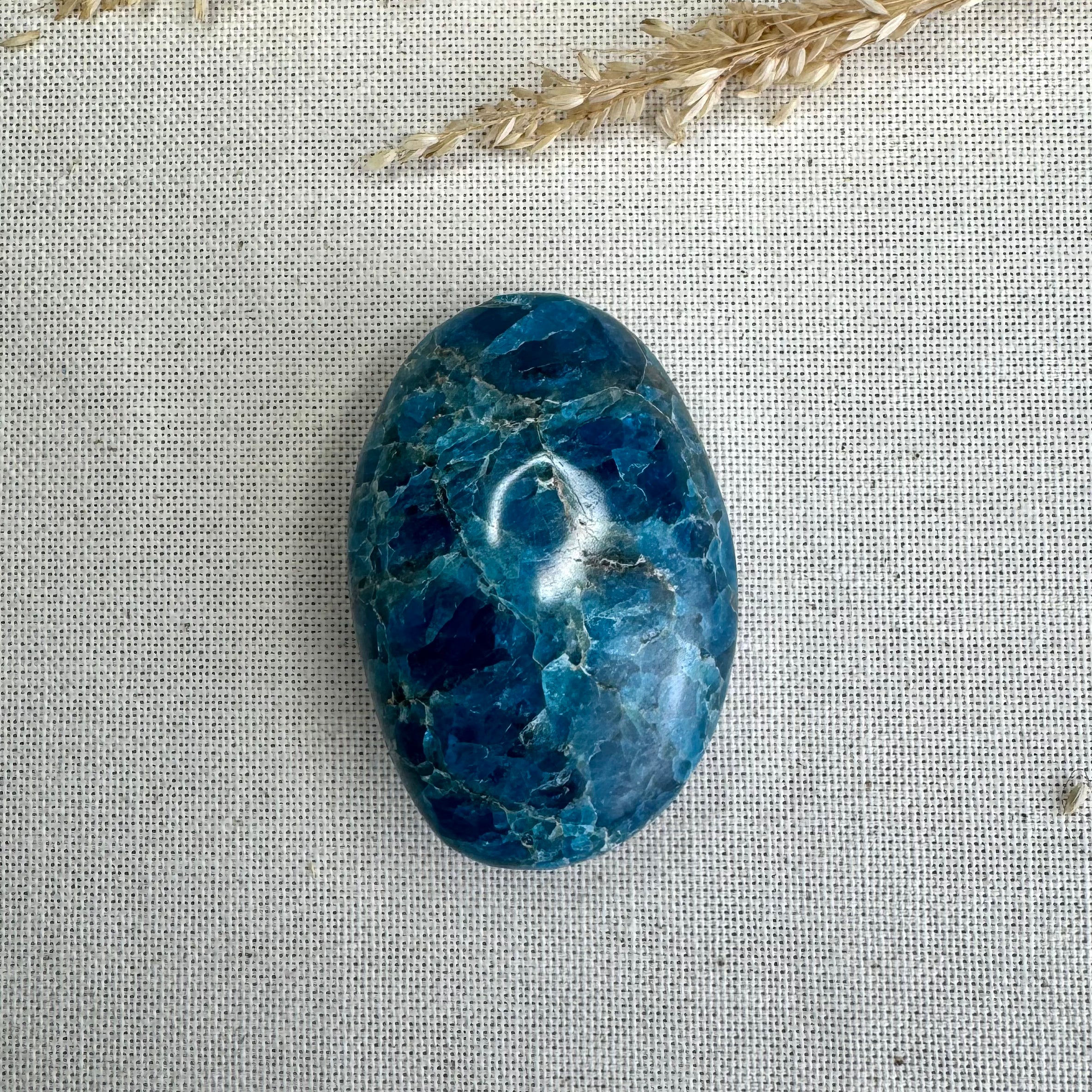 APATITE BLEUE - Madagascar - Galets