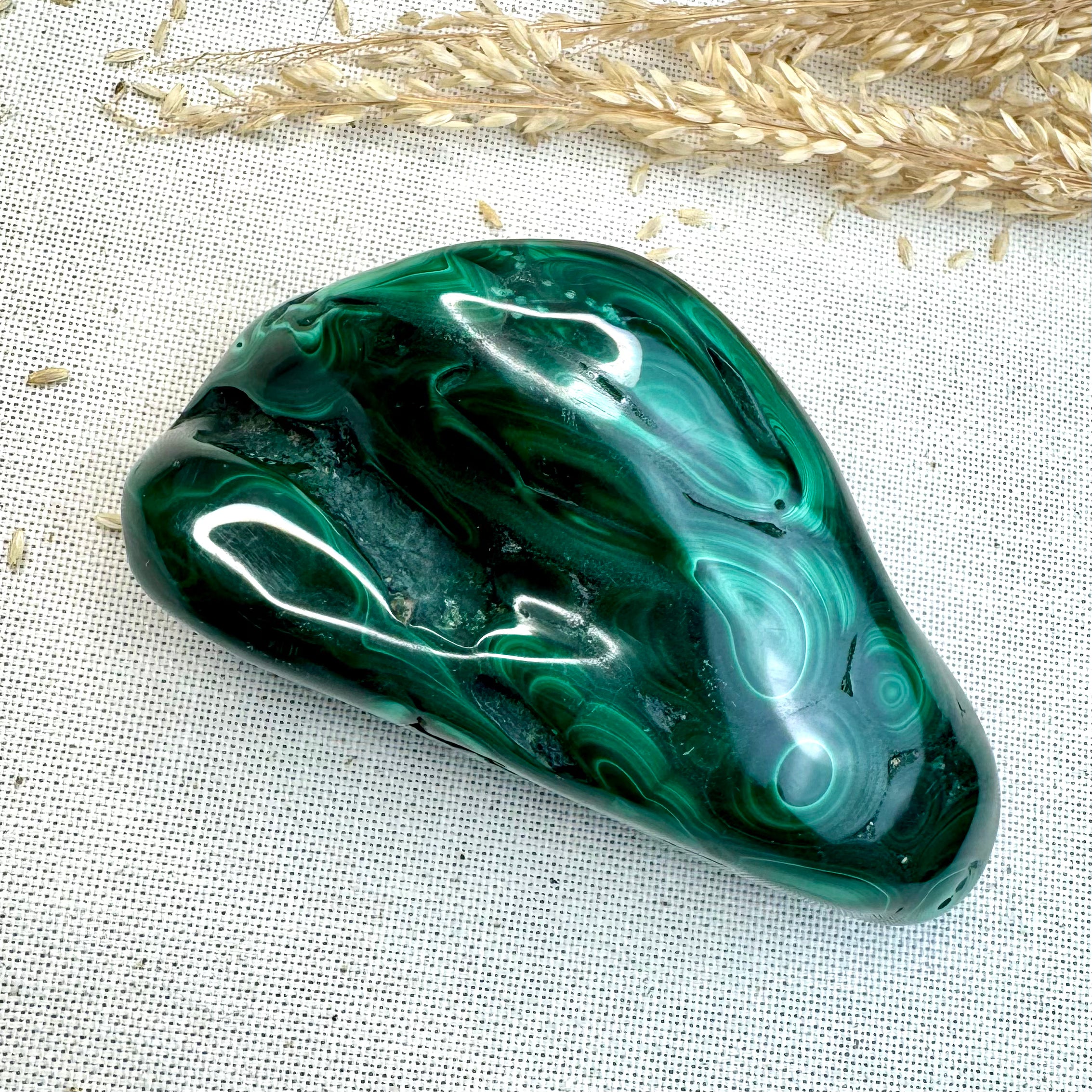 MALACHITE - AAA - Congo - Forme libre polie
