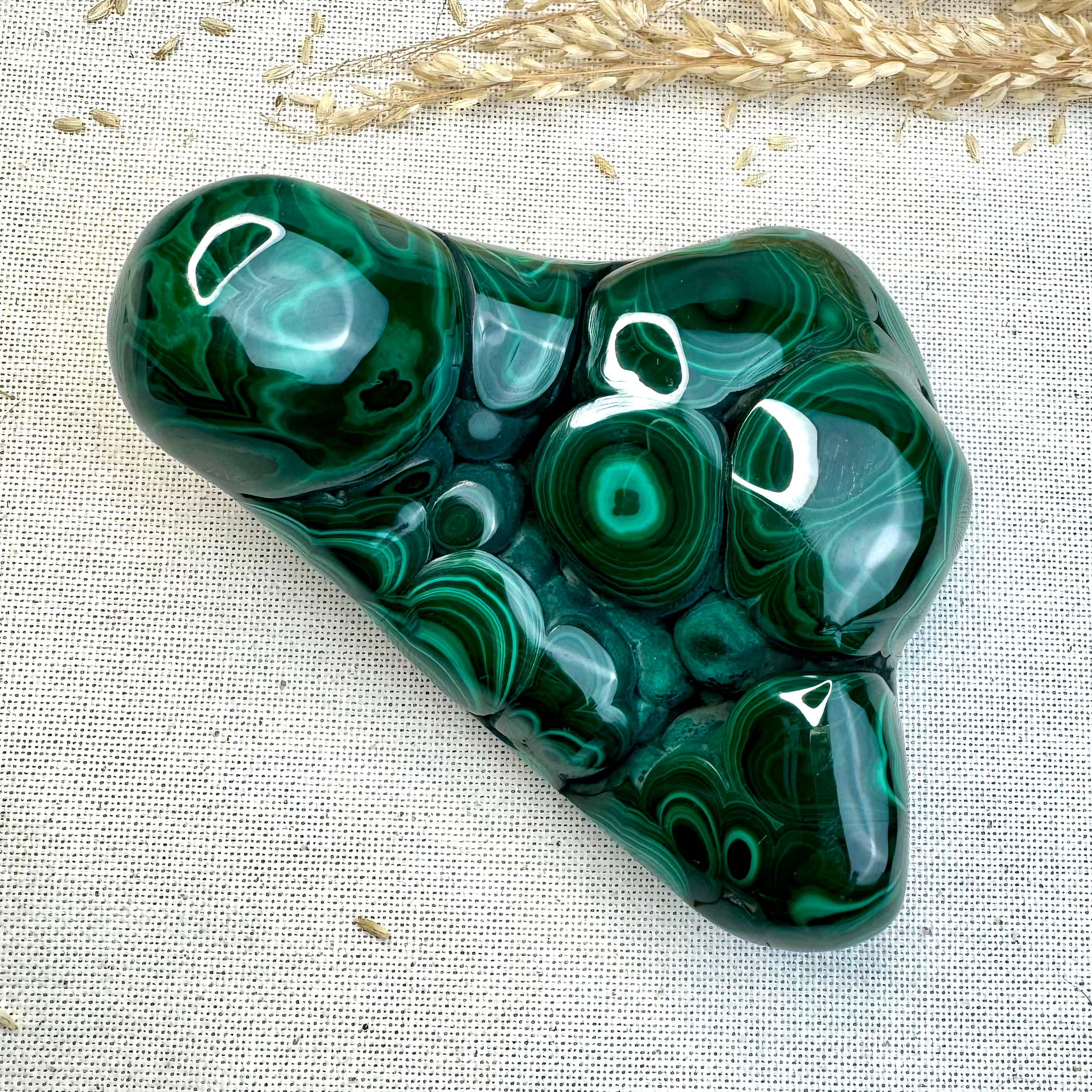MALACHITE - AAA - Congo - Forme libre polie