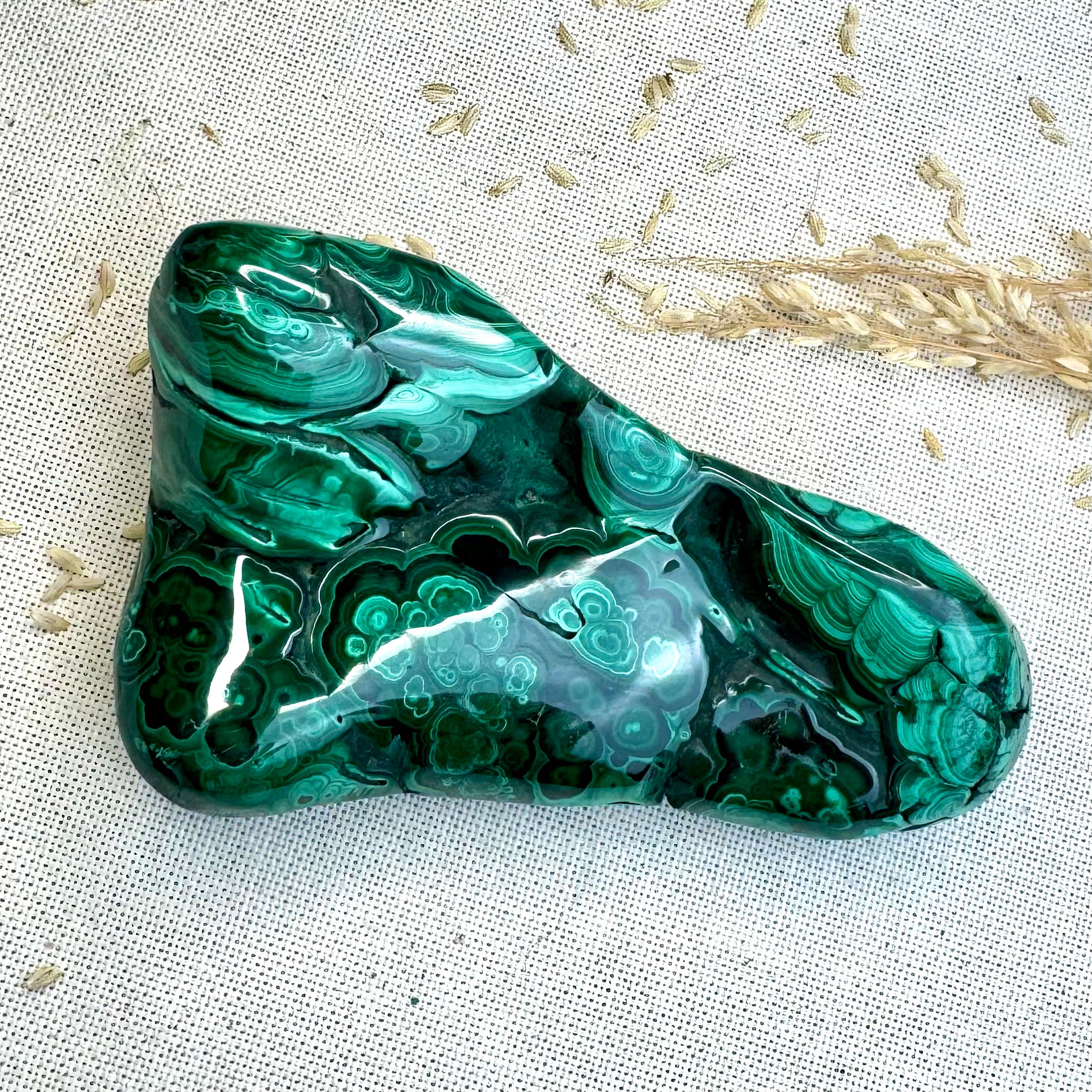 MALACHITE - AAA - Congo - Forme libre polie