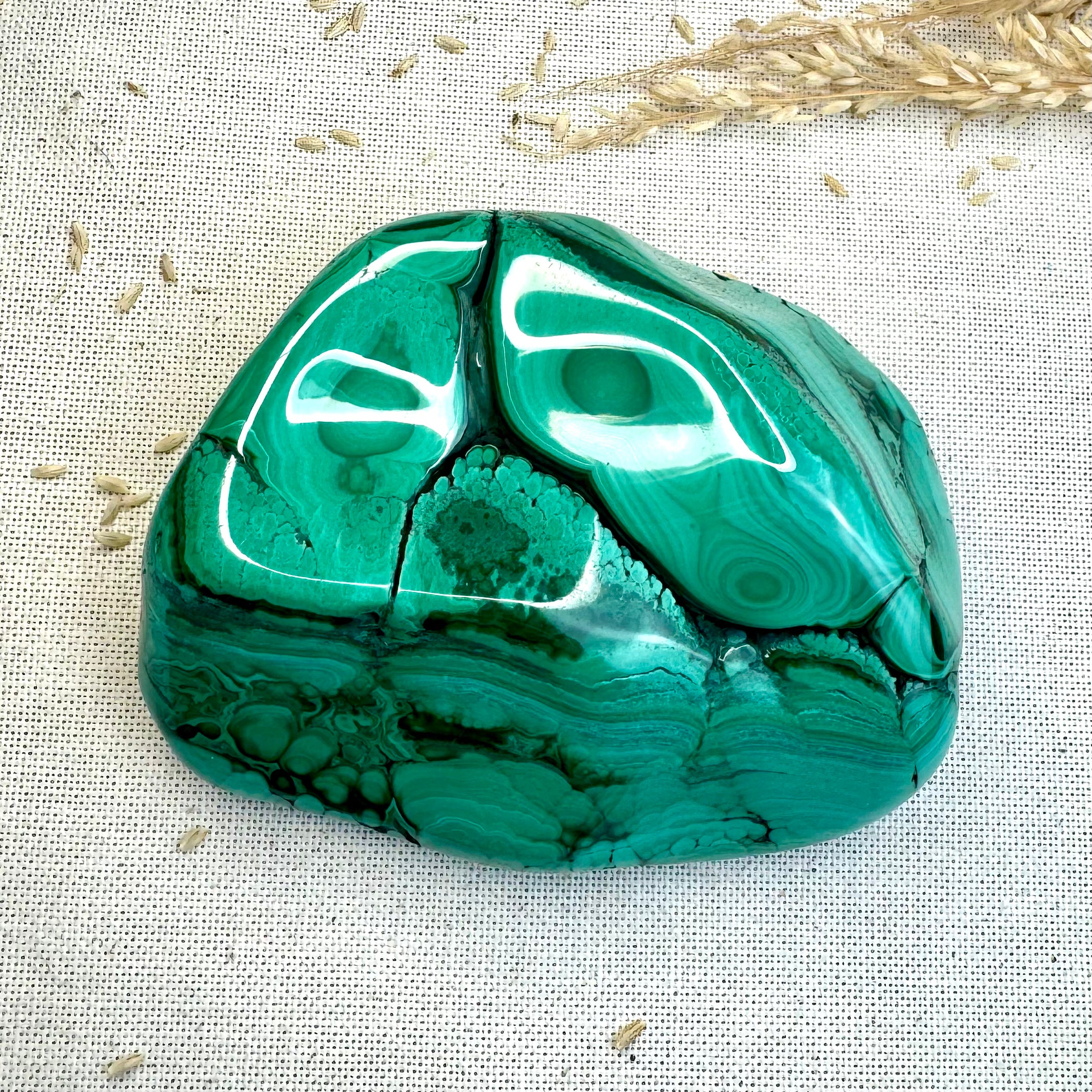 MALACHITE - AAA - Congo - Forme libre polie