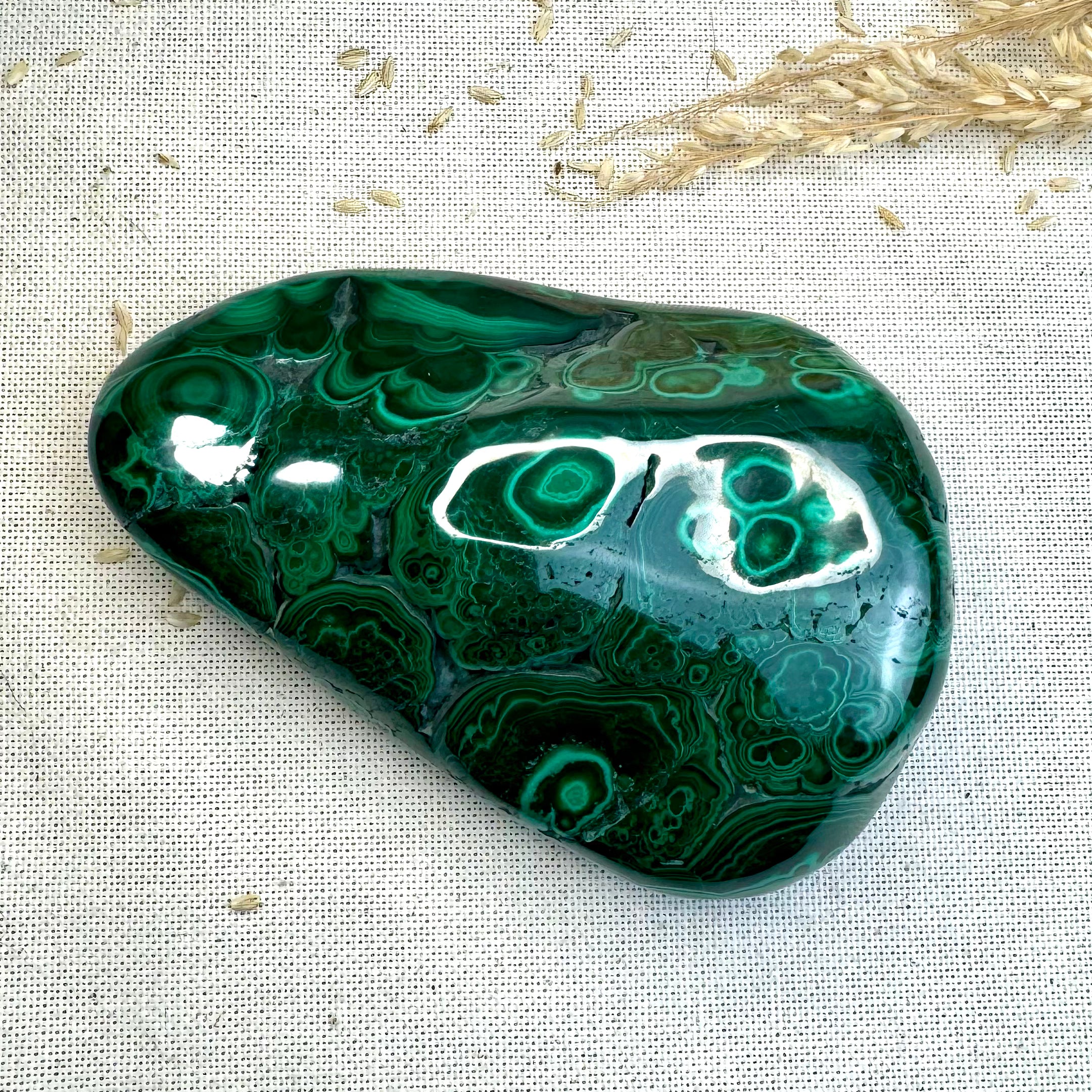 MALACHITE - AAA - Congo - Forme libre polie