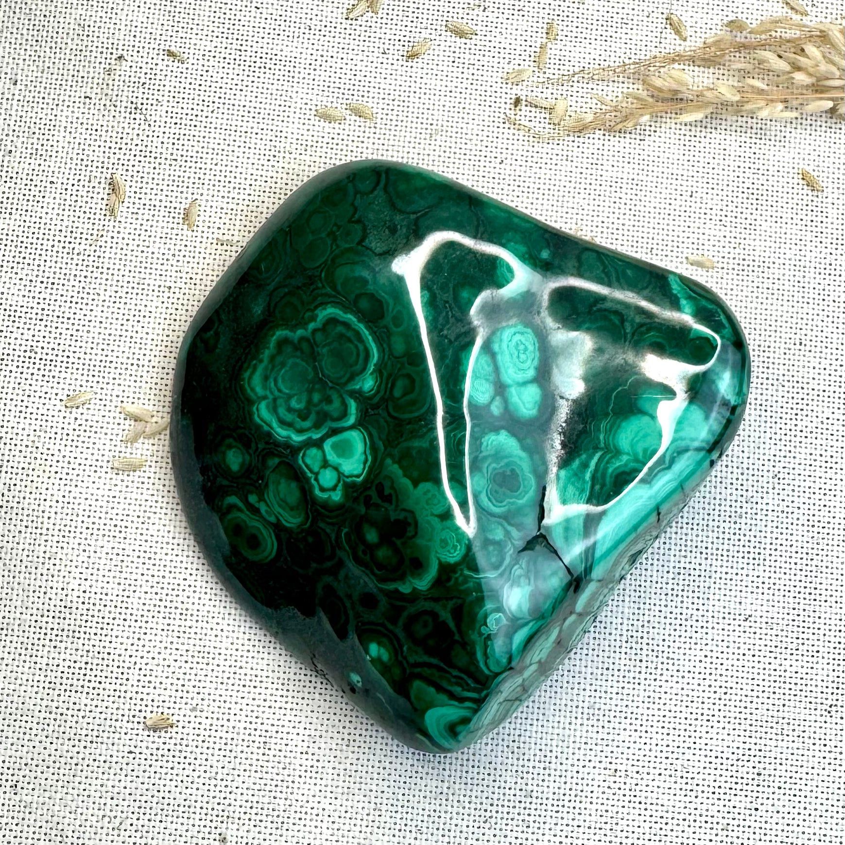 MALACHITE - AAA - Congo - Forme libre polie