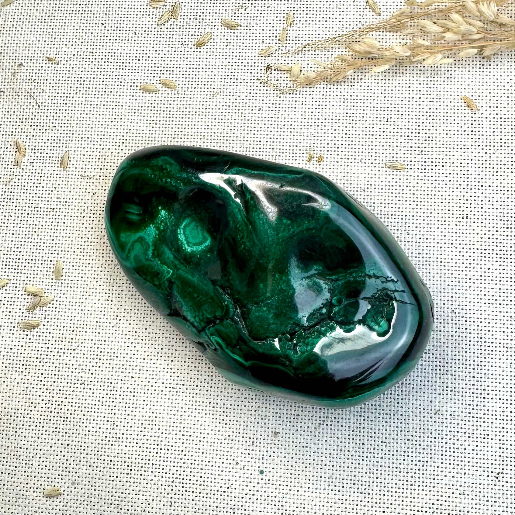 MALACHITE - AAA - Congo - Forme libre polie