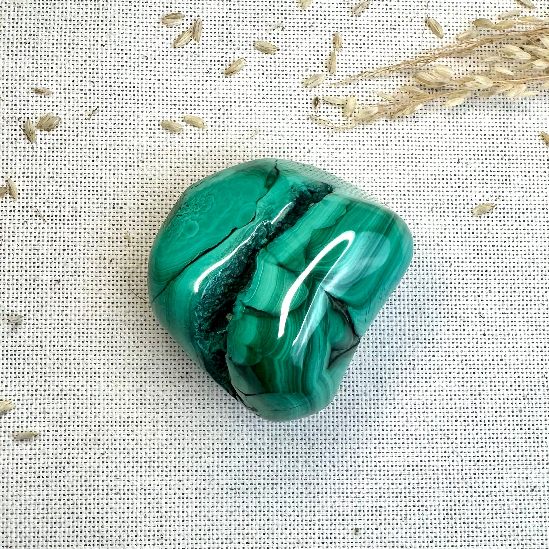 MALACHITE - AAA - Congo - Forme libre polie