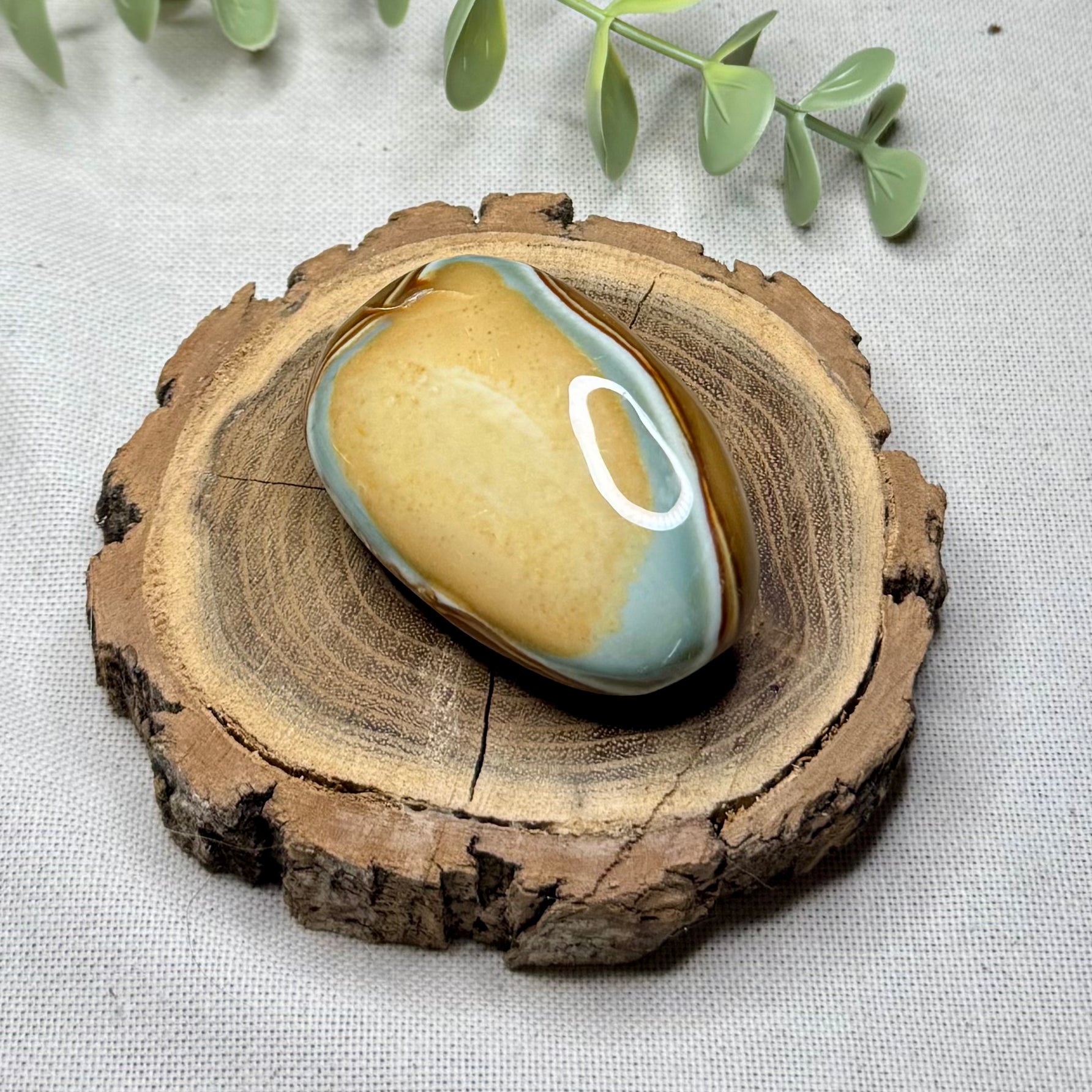 JASPE POLYCHROME - AA+ - Madagascar