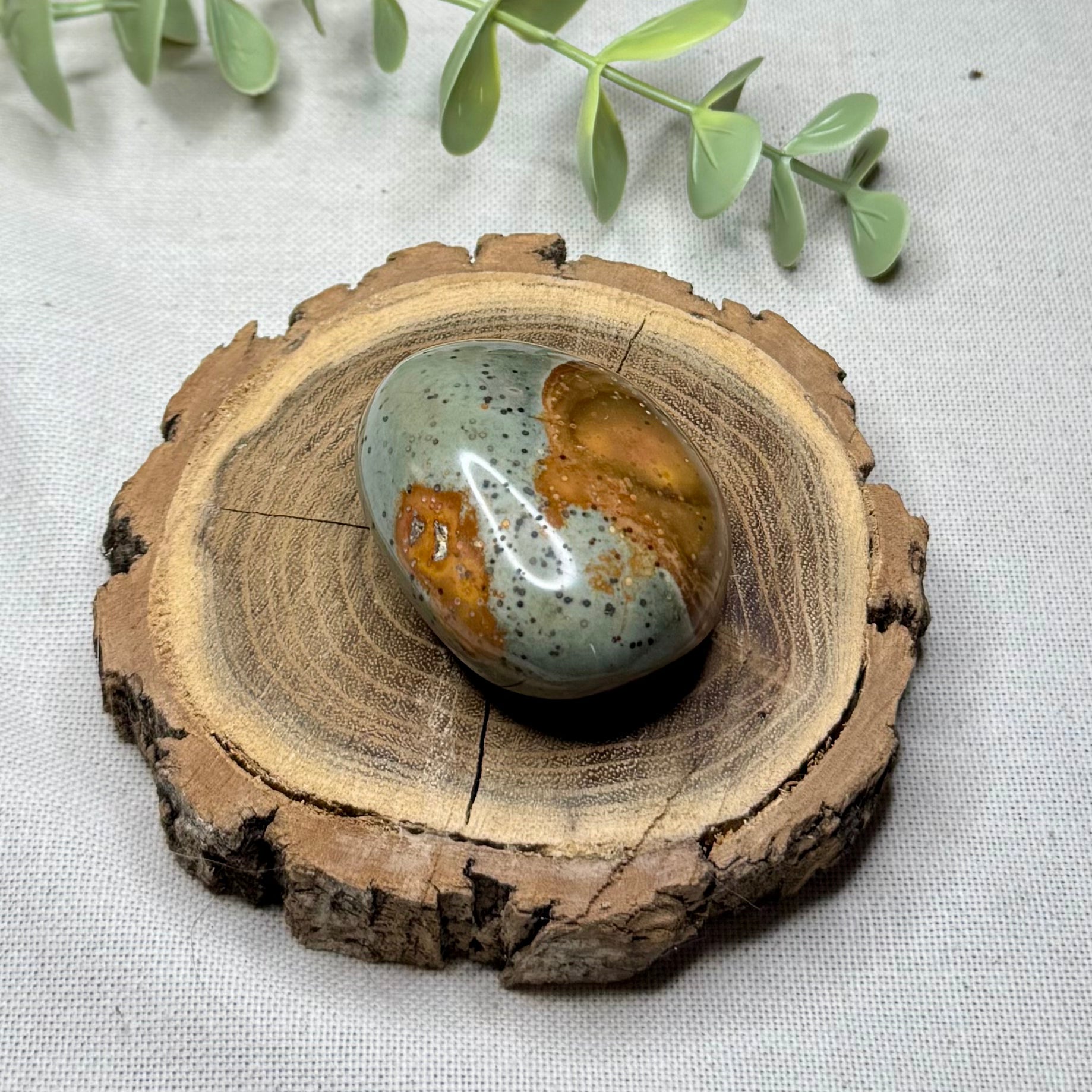 JASPE POLYCHROME - AA+ - Madagascar