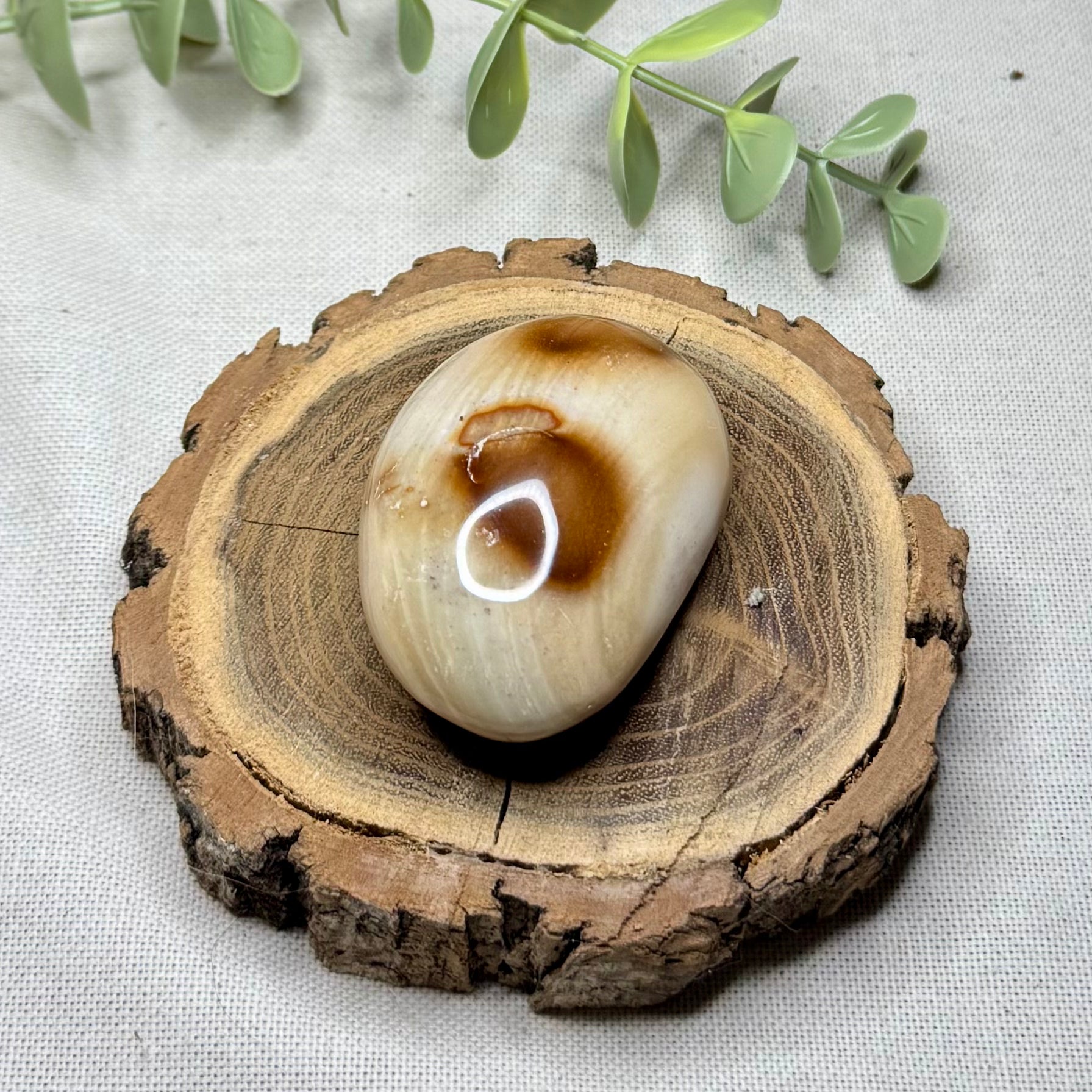 JASPE POLYCHROME - AA+ - Madagascar