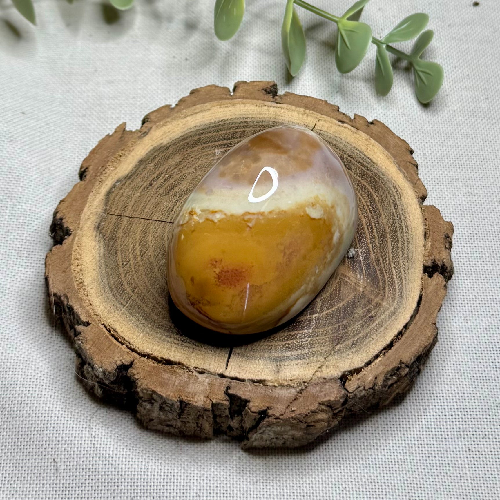 JASPE POLYCHROME - AA+ - Madagascar