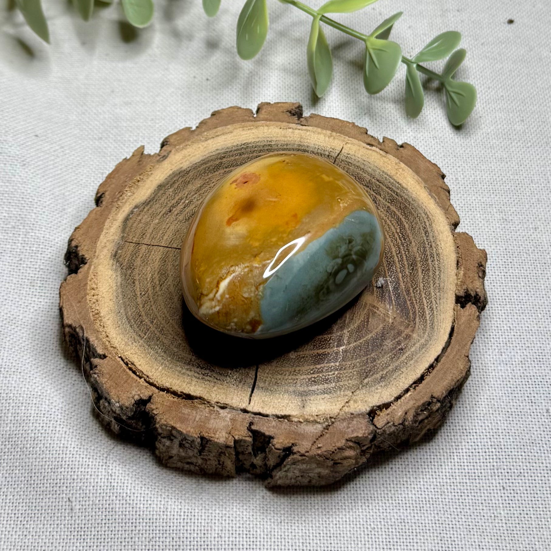 JASPE POLYCHROME - AA+ - Madagascar