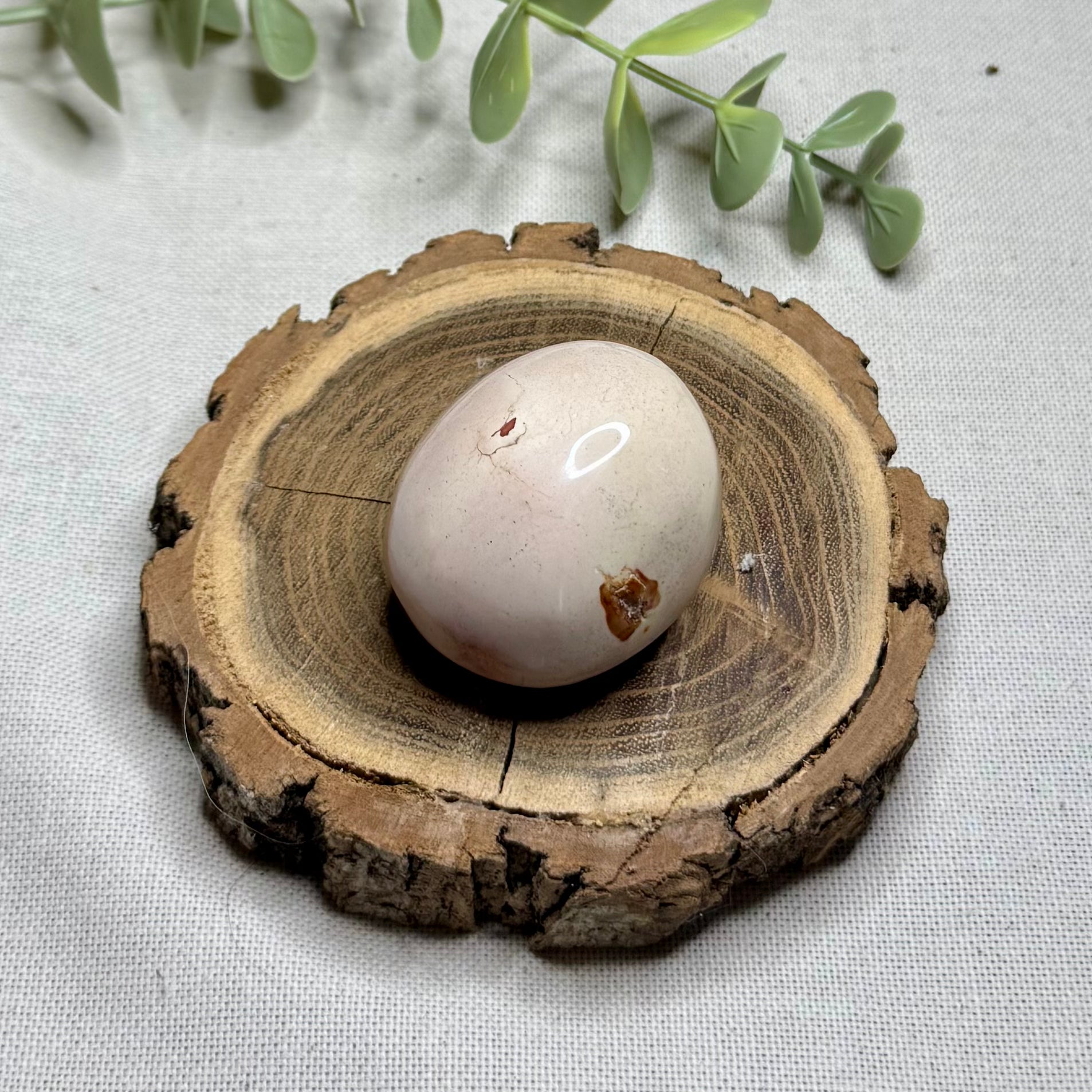 JASPE POLYCHROME - AA+ - Madagascar