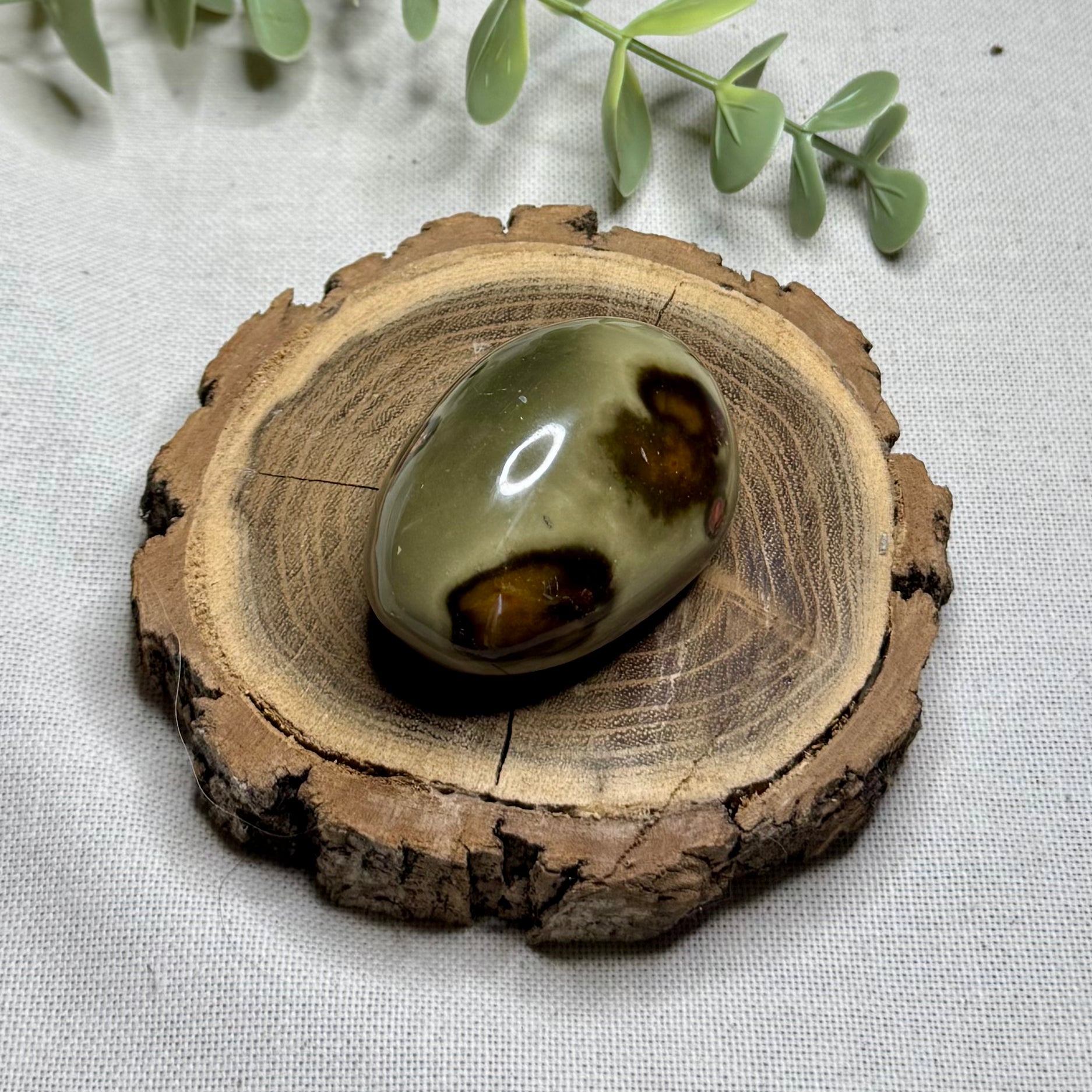 JASPE POLYCHROME - AA+ - Madagascar