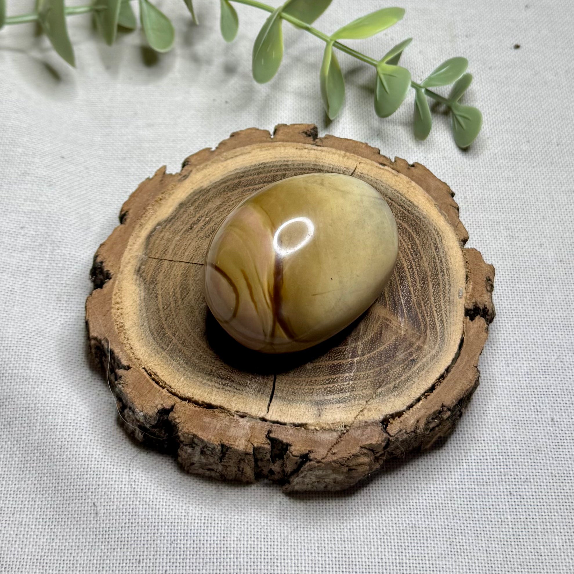 JASPE POLYCHROME - AA+ - Madagascar