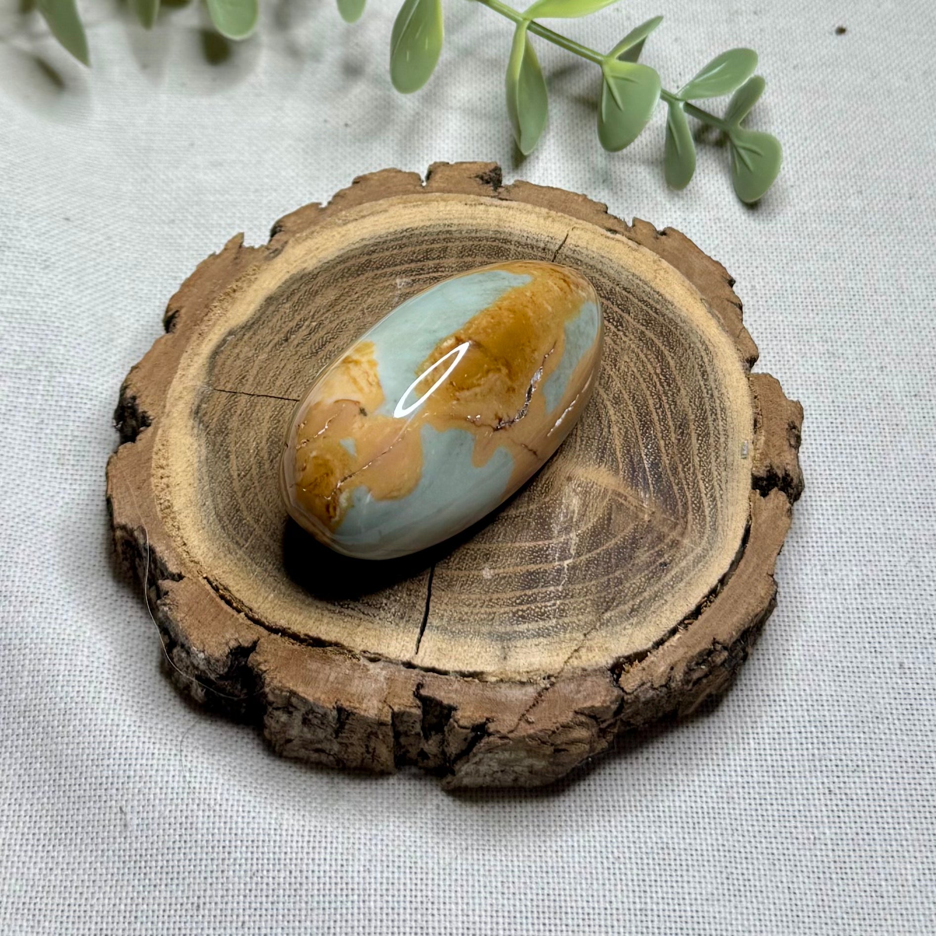 JASPE POLYCHROME - AA+ - Madagascar