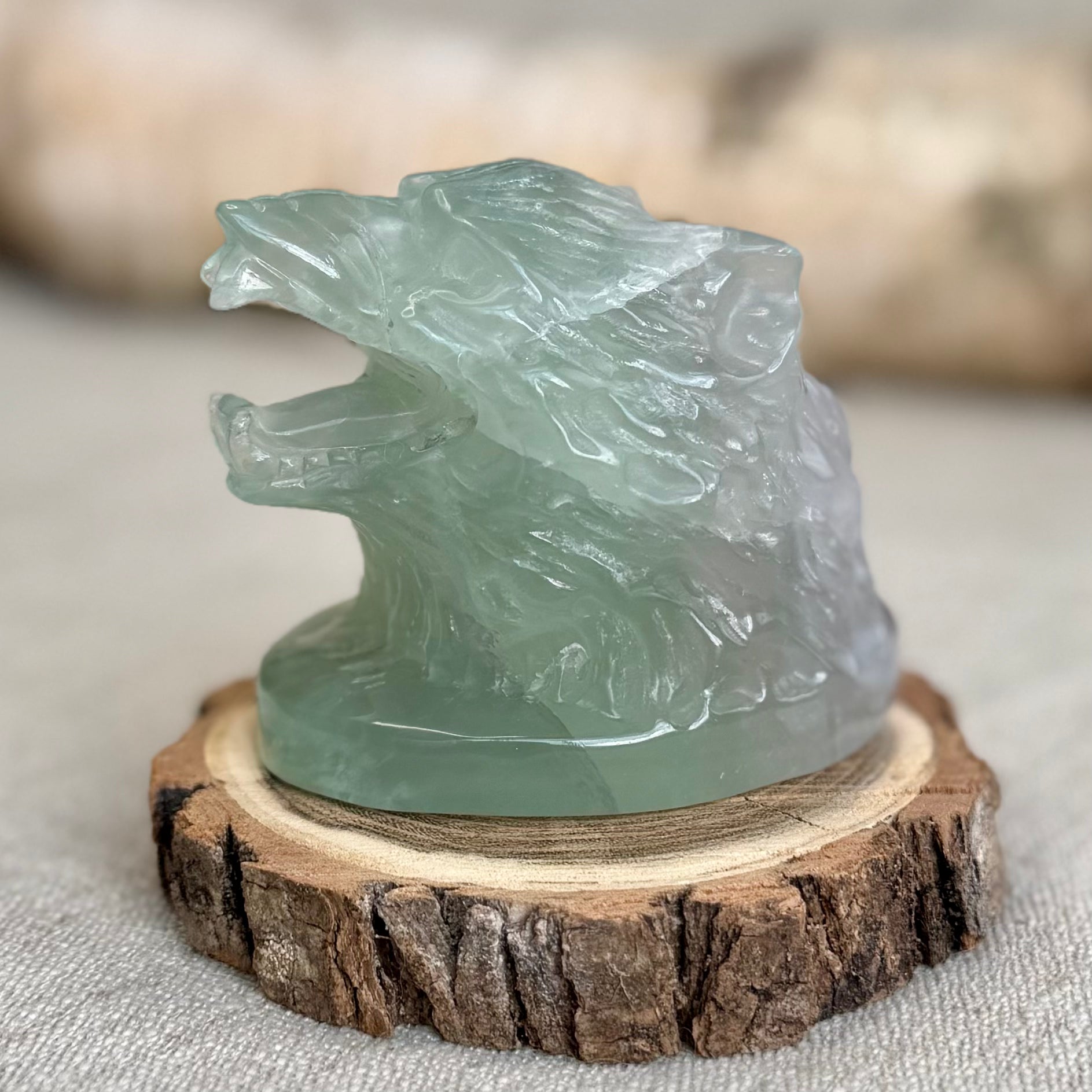 TÊTE DE LOUP - FLUORINE - Chine