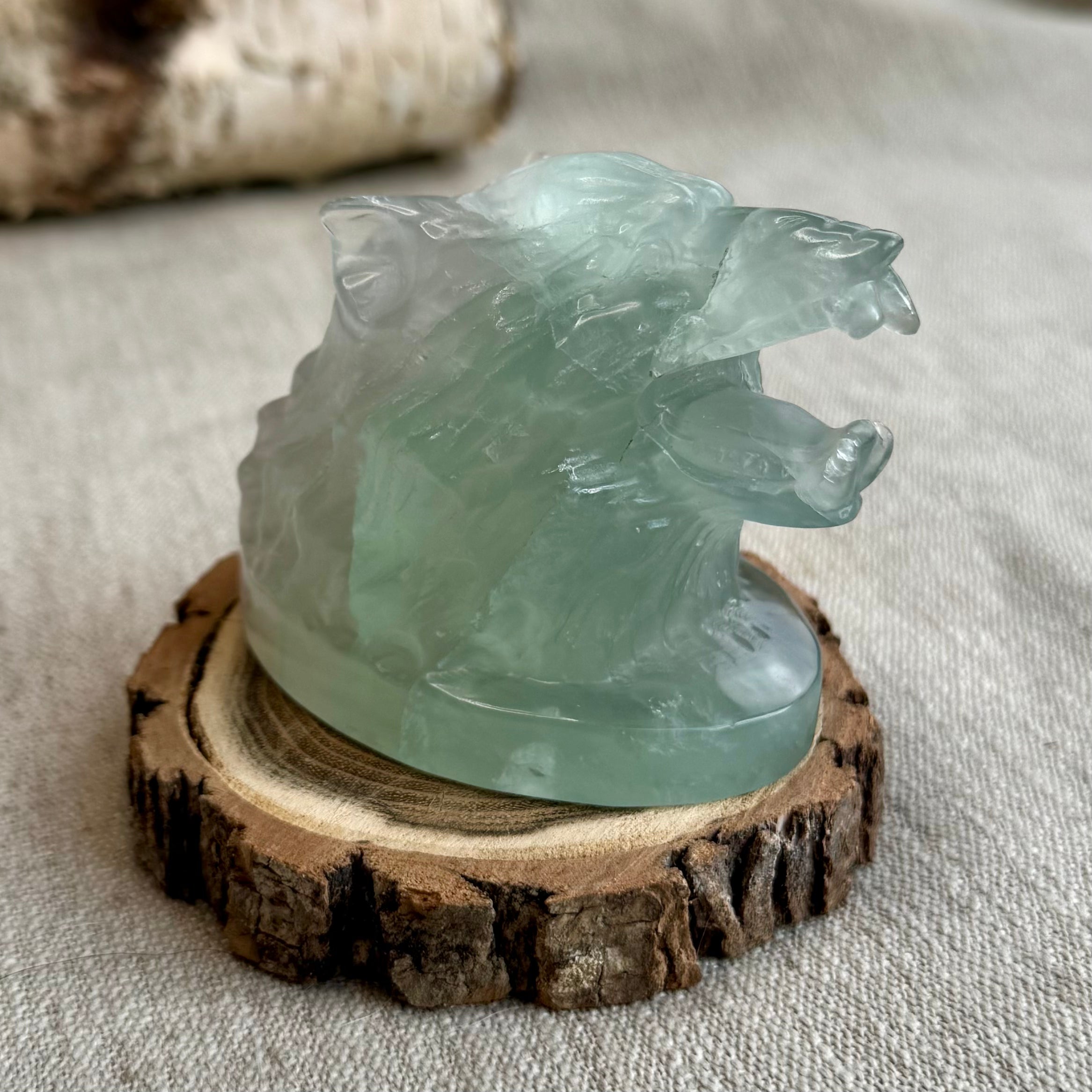 TÊTE DE LOUP - FLUORINE - Chine