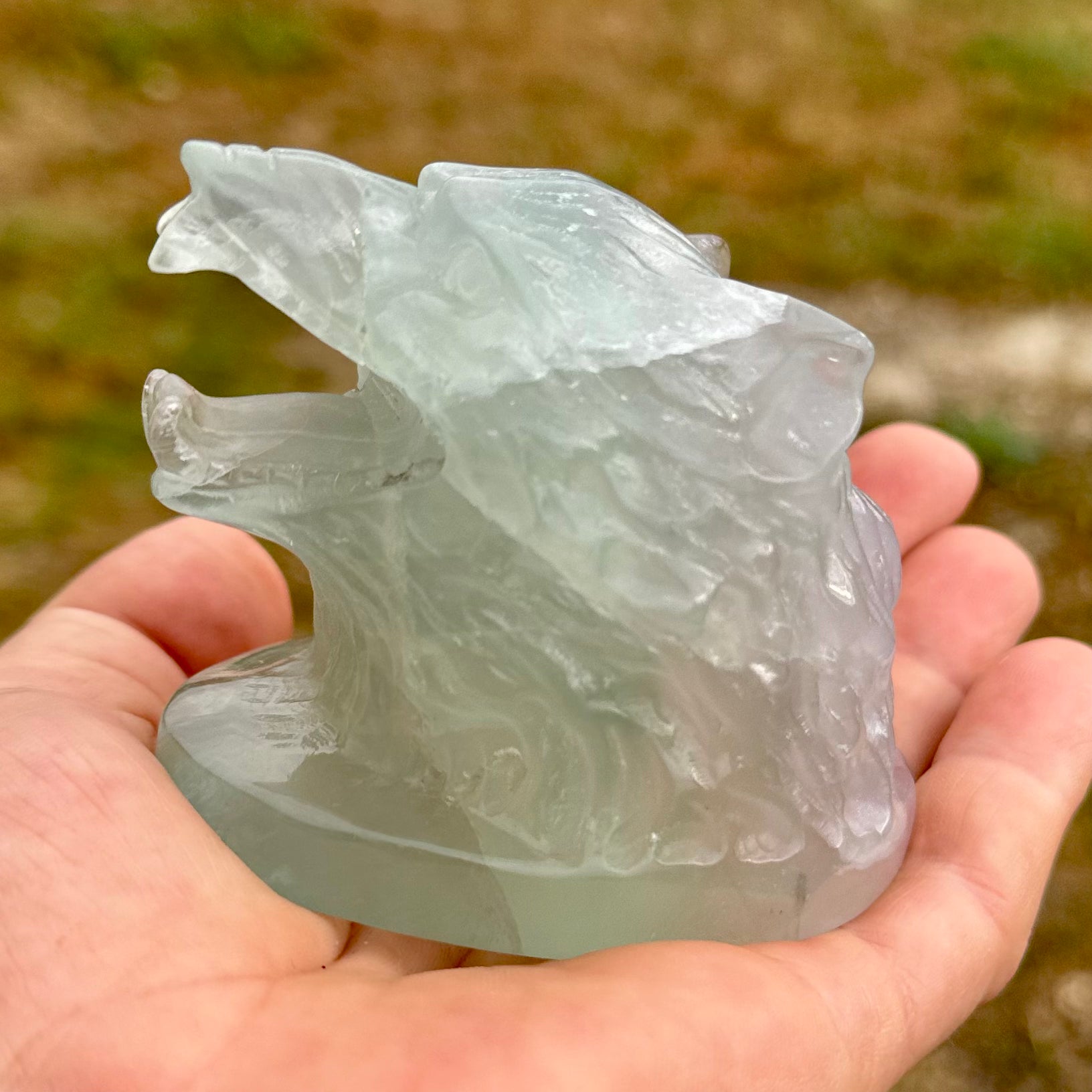 TÊTE DE LOUP - FLUORINE - Chine