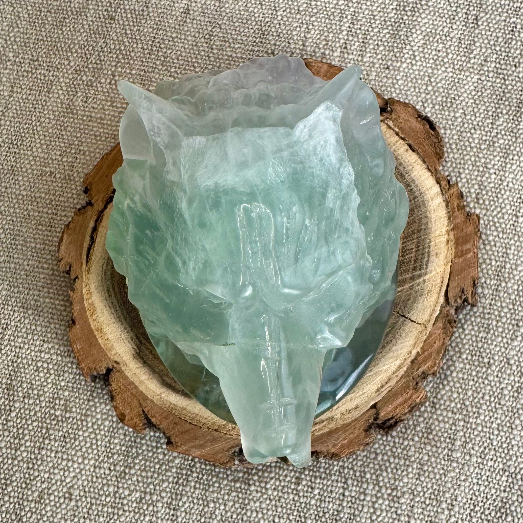 TÊTE DE LOUP - FLUORINE - Chine