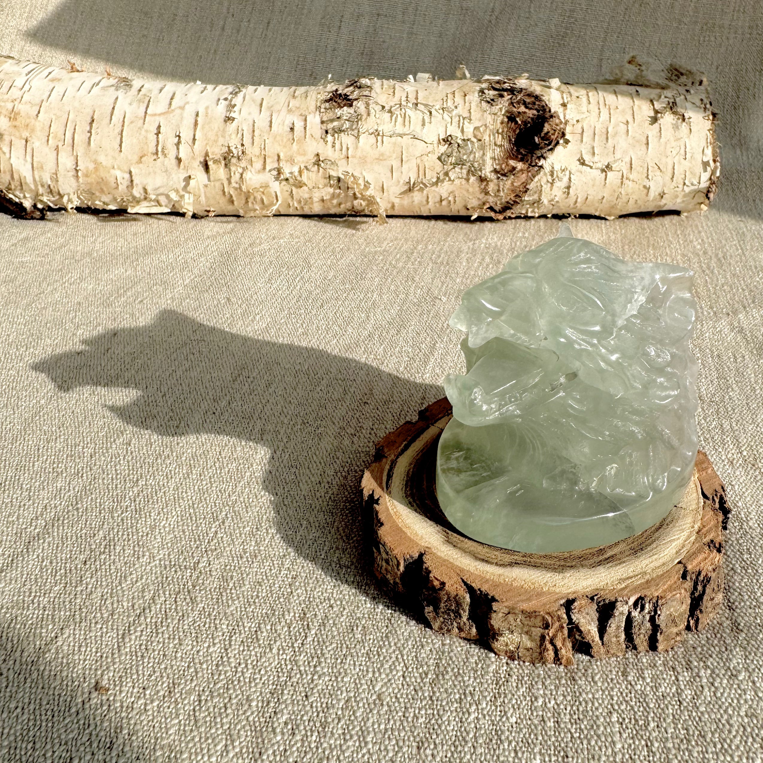 TÊTE DE LOUP - FLUORINE - Chine