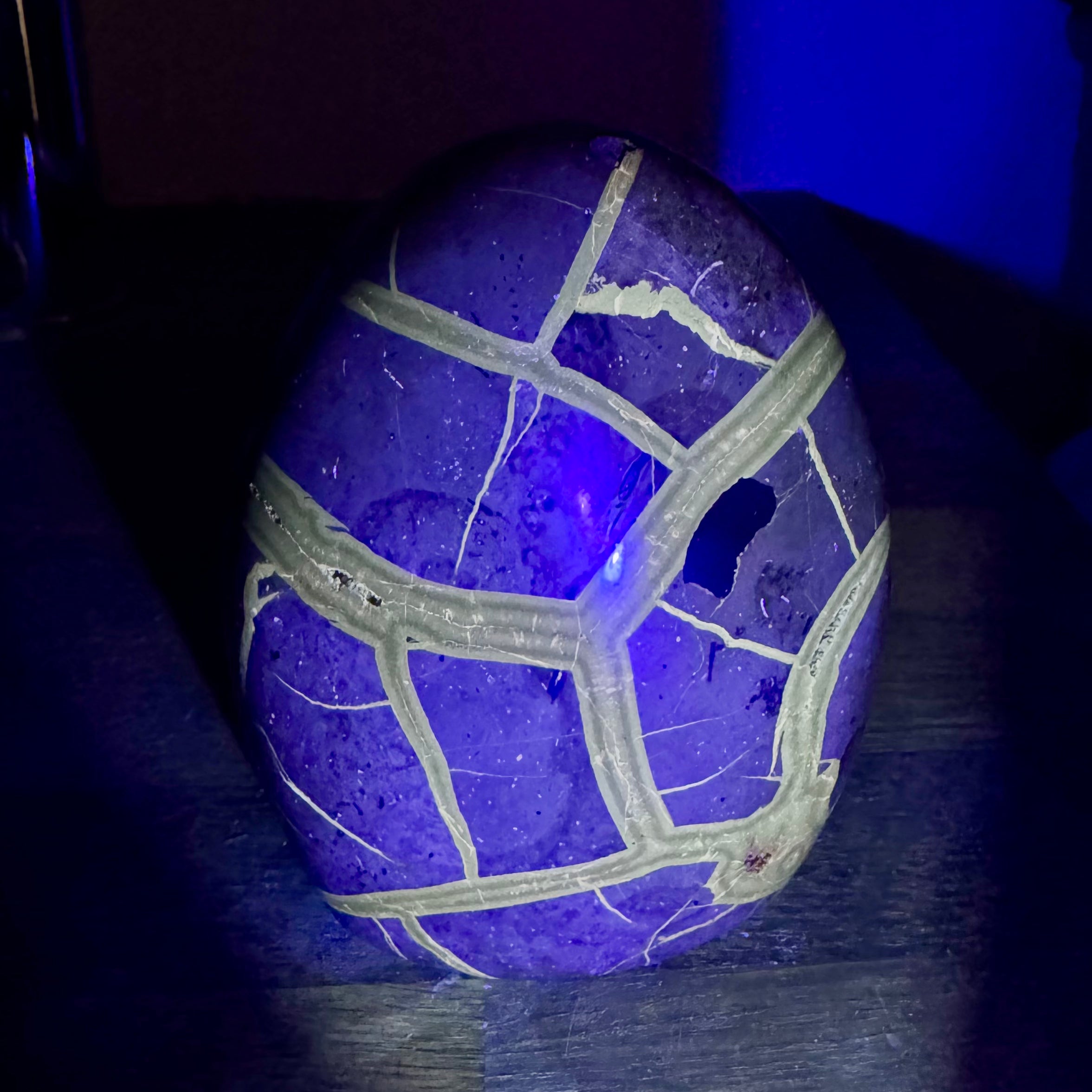 SEPTARIA SAUVAGE  - AAA - Madagascar - Forme libre