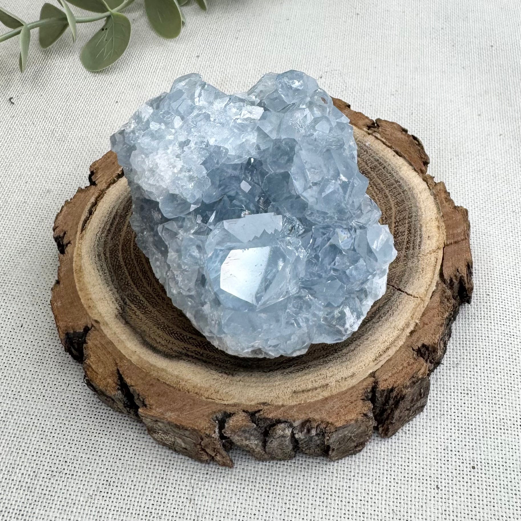 CÉLESTINE - AA+ - Madagascar - Géode